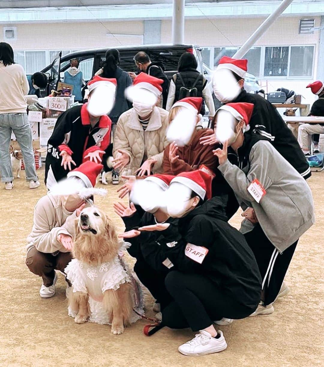 小松原美里さんのインスタグラム写真 - (小松原美里Instagram)「The Angel “Lady Shelly” has won the Costume Fashion Contest with the costume made by mom🤣 It’s too cute to stay just in my photo folder🤣 Congratulations on both of you 🥳👏 Kawaii  仮装ファッションコンテストにて、いつもの天使具合を具現化されたレディーシェリーが母作の衣装に包まれて大賞を頂いたそうです笑かわいいのでシェア🤣 2人(犬？)ともおめでとう🥳🔝 STAFFの皆様に囲まれて嬉しそうなレディー👼  #いぬすたぐらむ #仮装 #天使」11月14日 8時12分 - missatoooo