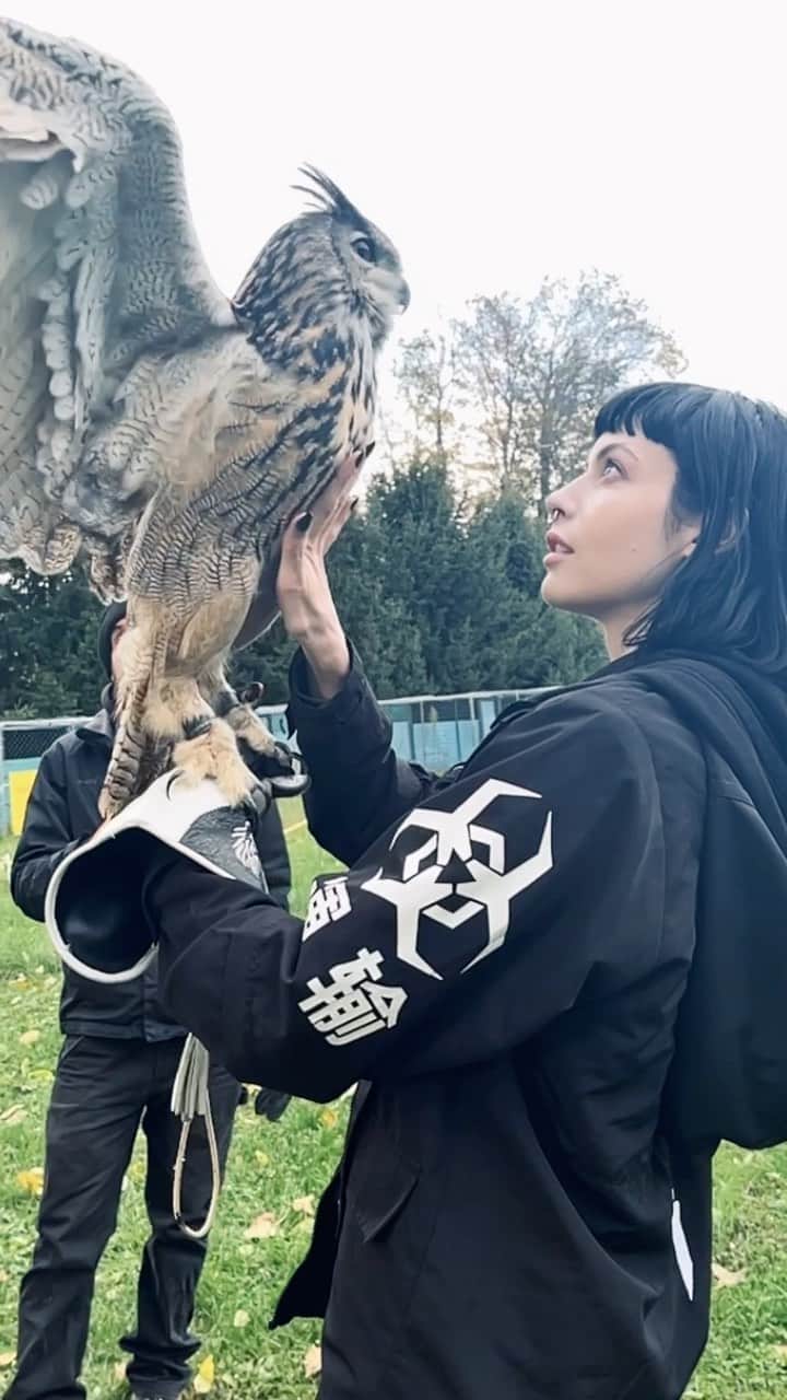 シャーロット・ケンプ・ミュールのインスタグラム：「Owls are cool.」