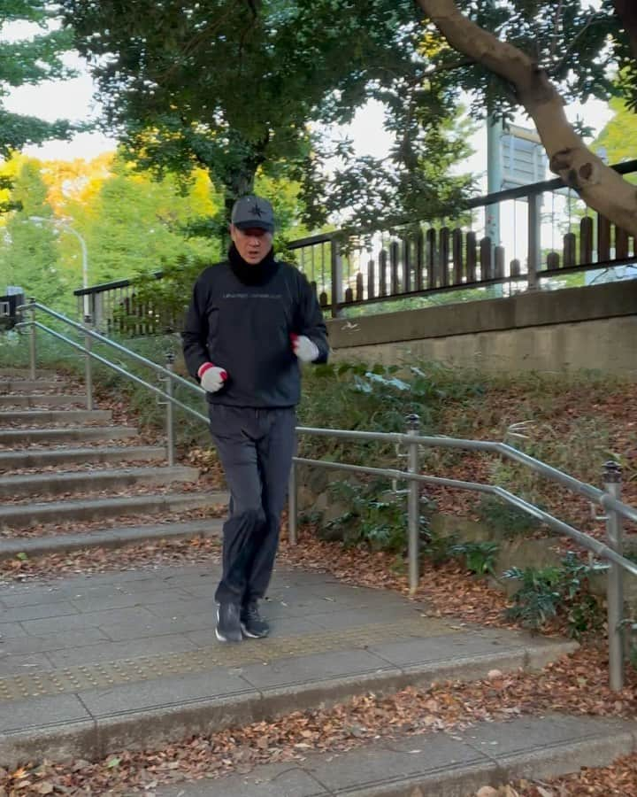 金石昭人のインスタグラム：「カネやん散歩🚶  寒いなぁ😵 気合いで起きるぞ‼️ ほんで動け動け😂💨 動いたあとはスッキリや😄😄  どや  #カネやん散歩 #寒いなぁ #気合いだ #動け動け #すっきりするぞ #カネやんと花 #いちょうのき木  #どや」