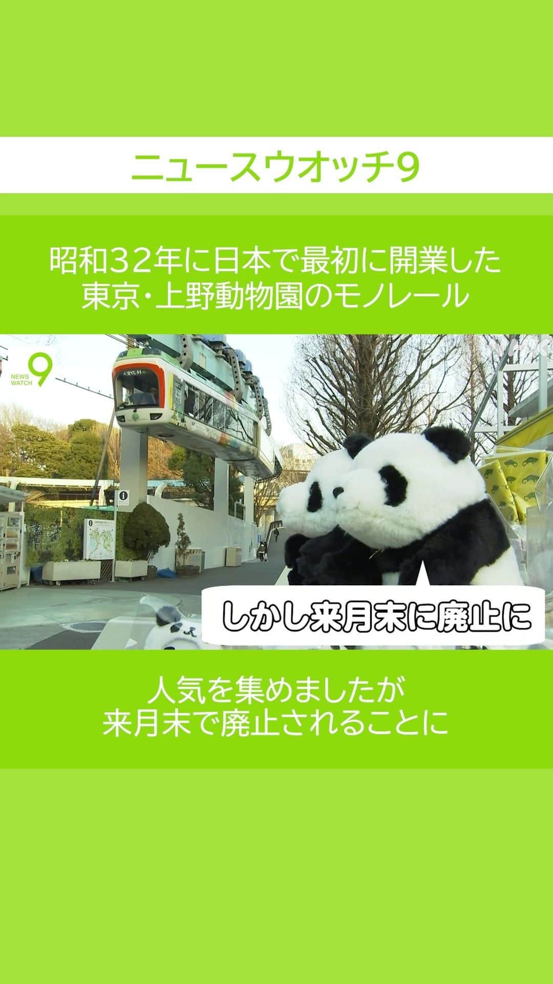 NHK「ニュースウオッチ９」のインスタグラム：「昭和32年に日本で最初に開業した 東京・ #上野動物園 の #モノレール  人気を集めましたが 来月末で廃止されることに  #夜9時 #NHK #NHKプラス #ニュースウオッチ9」