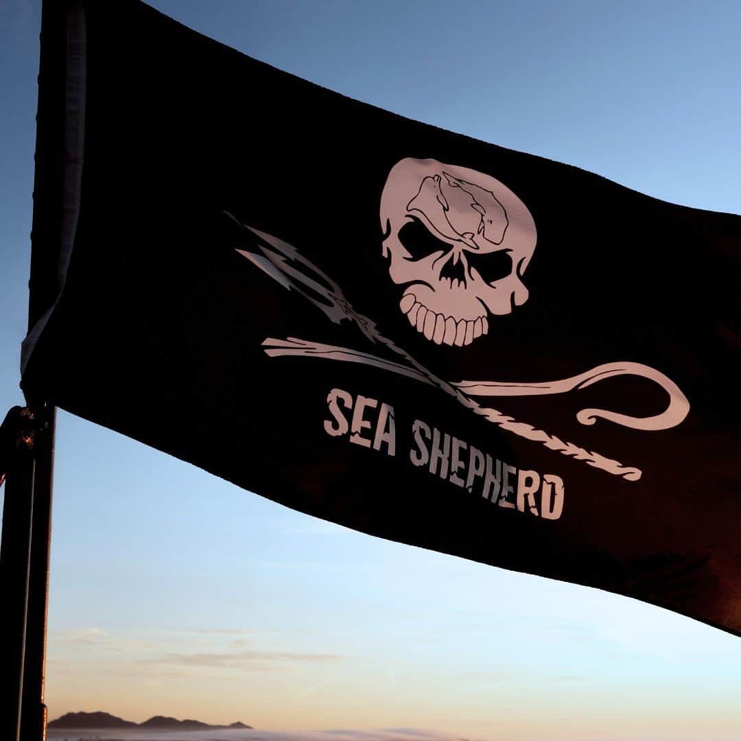 TRIWAのインスタグラム：「Check out our cool selection from our collaboration with Sea Shepherd. We're still totally excited about it!☠️🤩」