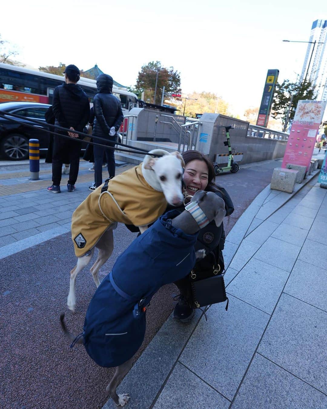 さくらさんのインスタグラム写真 - (さくらInstagram)「韓国🇰🇷 　 #広角レンズで撮ったら #足盛れすぎた #4枚目 #浮気 #ヨーちゃん #何枚目が好き?」11月14日 19時56分 - sakufitness
