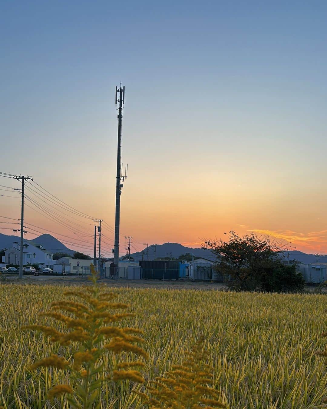 HIMARIのインスタグラム：「🌾🗻」