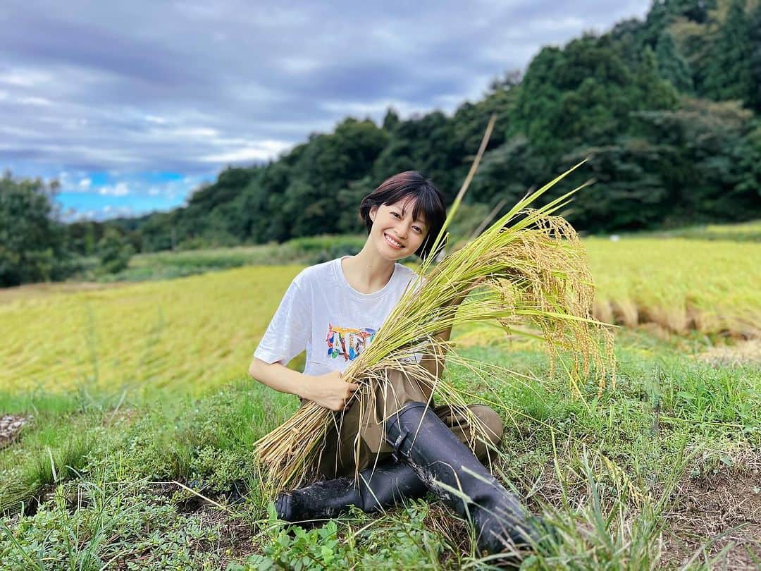 小林涼子さんのインスタグラム写真 - (小林涼子Instagram)「. ＼新潟で収穫したお米がノベルティに🍚🌾／ 今年も撮影の合間を縫って稲刈りに🌾 そのお米がAIGLEさんのノベルティになるなんて… 全国各地の方々に食べていただけるなんて…胸熱。  私が新潟の方々や景色に癒され、 この味を守りたいと会社まで起業してしまったほど ほんっつつつっとに！！ 美味しいお米なので ぜひご賞味いただけたら嬉しいなぁ🥹  またさらに！ お米の袋のQRコードから、 抽選で素敵なプレゼントが当たります！ ぜひご応募くださいませ。 ※一部店舗をのぞきます。 ※ノベルティはなくなり次第終了いたします。  ＜プレゼントキャンペーン応募締切＞ 11月30日(木) 24:00  @agrikofarm  #AIGLE #aiglejapan #エーグル #新潟県上越市 #名立中部  special thanks 🙇‍♀️ @ray_tn」11月14日 20時03分 - ryoko_kobayashi_ryoko