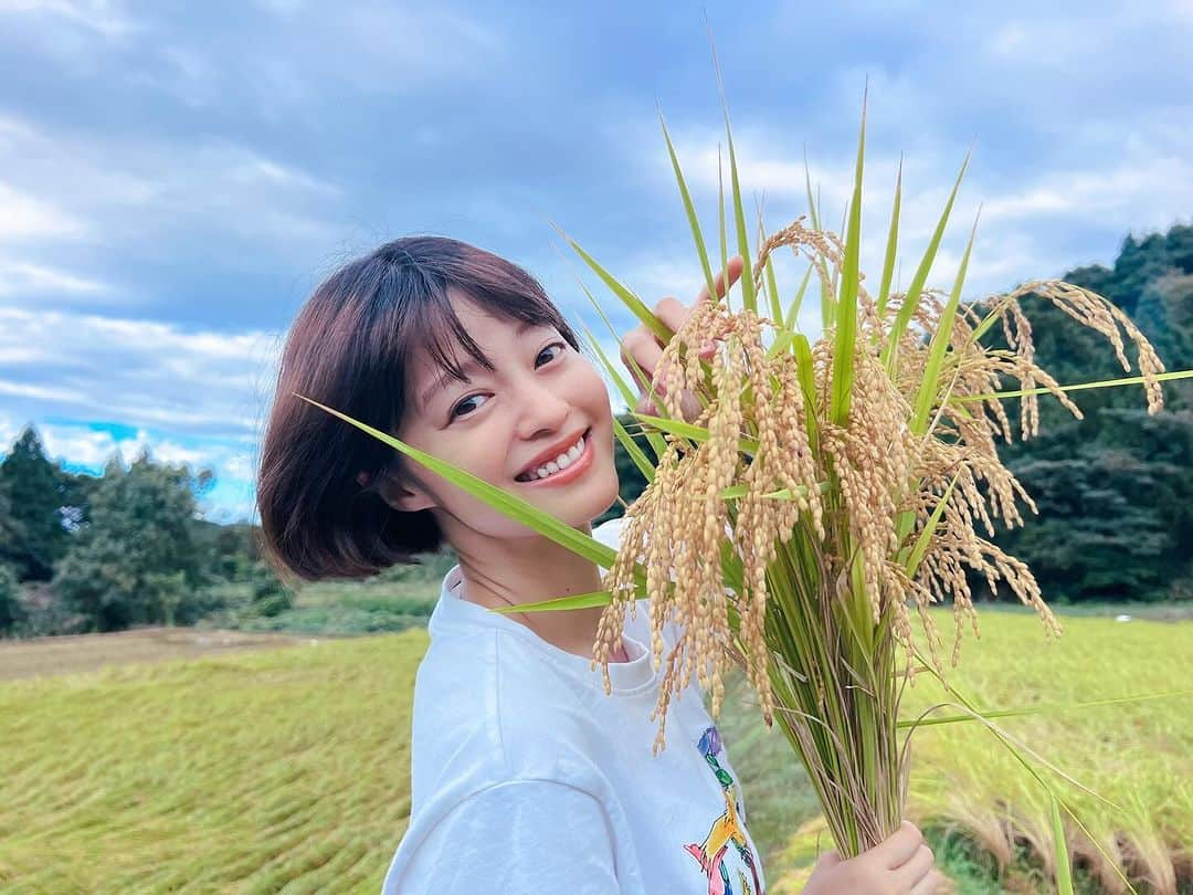 小林涼子のインスタグラム：「. ＼新潟で収穫したお米がノベルティに🍚🌾／ 今年も撮影の合間を縫って稲刈りに🌾 そのお米がAIGLEさんのノベルティになるなんて… 全国各地の方々に食べていただけるなんて…胸熱。  私が新潟の方々や景色に癒され、 この味を守りたいと会社まで起業してしまったほど ほんっつつつっとに！！ 美味しいお米なので ぜひご賞味いただけたら嬉しいなぁ🥹  またさらに！ お米の袋のQRコードから、 抽選で素敵なプレゼントが当たります！ ぜひご応募くださいませ。 ※一部店舗をのぞきます。 ※ノベルティはなくなり次第終了いたします。  ＜プレゼントキャンペーン応募締切＞ 11月30日(木) 24:00  @agrikofarm  #AIGLE #aiglejapan #エーグル #新潟県上越市 #名立中部  special thanks 🙇‍♀️ @ray_tn」