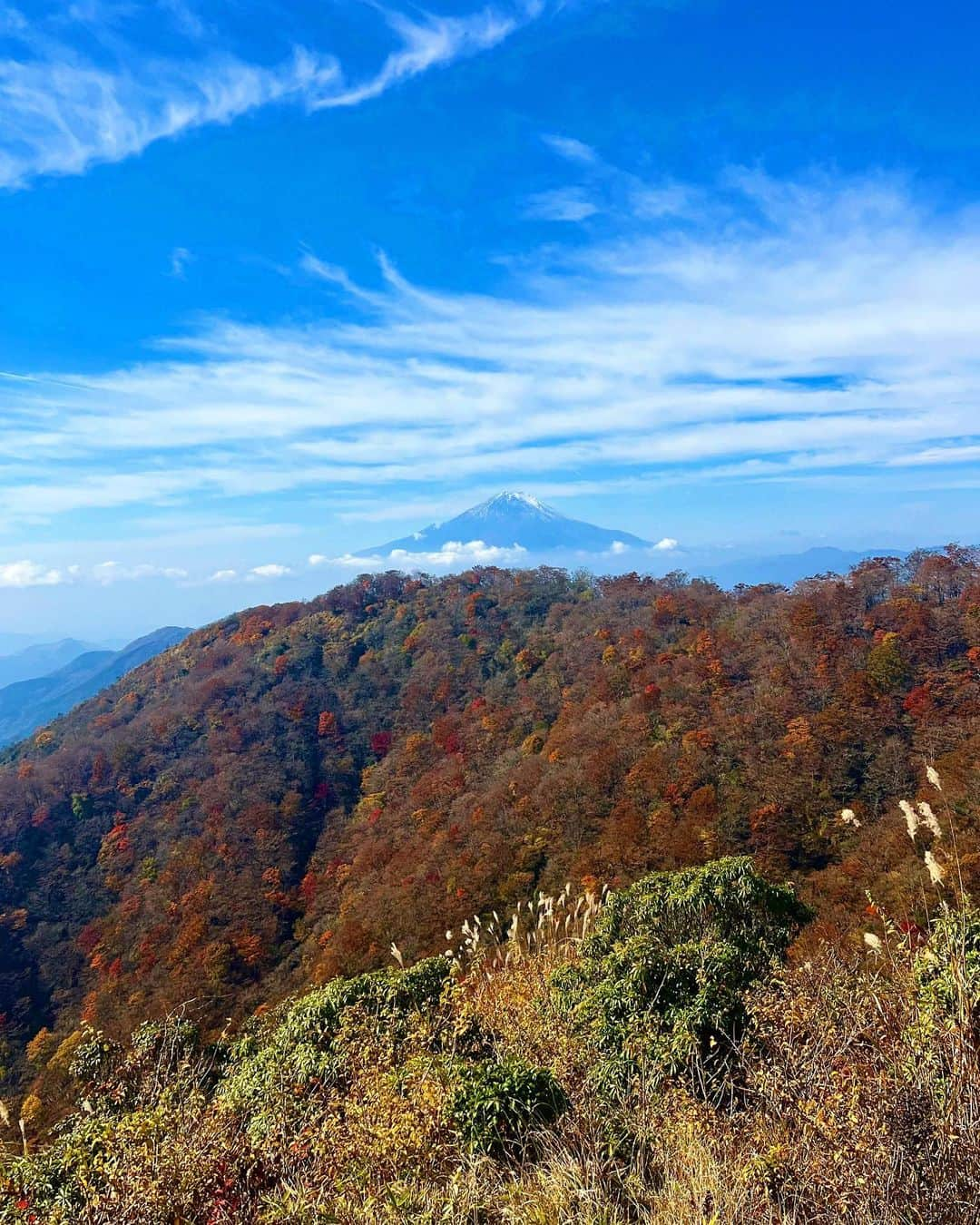 一双麻希 さんのインスタグラム写真 - (一双麻希 Instagram)「神奈川県丹沢の【塔ノ岳(1491m)】へ！ 4年前私がお仕事で初登山した後すぐ、 山を始めようと、プライベートで初めて登った山がここ⛰️ あの時完全な初心者で、かなりハードに感じたけど.. 今回もまぁまぁハードでした😂😂 (秋なのに汗だくに😅) 一枚目の時は一瞬雲で隠れちゃったのですが😥 登っている途中から頂上まで、 富士山がどーんと見えるのです🥹  大倉尾根コース、通称【バカ尾根】と言われる ひたすらきつめの登り坂(階段も多め😅)ルートでしたが やっぱり景色が良いので本当に心地よい..✨ 頂上も広くて山小屋もあり、ゆっくりできます。☺️  紅葉と富士山が眺められて大満足でした。😌  #塔ノ岳 #初心者でも中級でも楽しめる山☻  #紅葉登山 #紅葉 #登山初心者 #神奈川の山 #丹沢 #丹沢山 #秦野 #低山 #低山ハイク #富士山が見える場所 #山女 #山ガール #山好き #登山女子 #登山 #山好きな人と繋がりたい #アウトドア好き #日本の絶景 #アウトドア女子 #ハイキング #登山ファッション #登山コーデ #アウトドアファッション #モンチュラ #montura #mtfuji #japanview #いっそうまき山記録」11月14日 20時17分 - isso_maki315