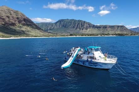 And Youさんのインスタグラム写真 - (And YouInstagram)「Waiting for you to be a part of our Ohana 🫶🏼 • • • • #hawaiioceanadventuretours #adventurehawaii #snorkeling #oahuhawaii #wildlife #ohana❤️ #ohanameansfamily🌺 #boattour」11月14日 11時33分 - dolphinsandyou