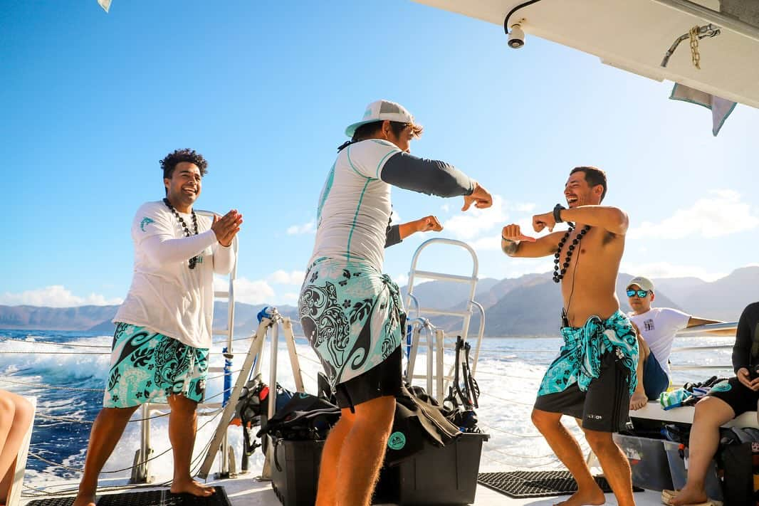 And Youさんのインスタグラム写真 - (And YouInstagram)「Waiting for you to be a part of our Ohana 🫶🏼 • • • • #hawaiioceanadventuretours #adventurehawaii #snorkeling #oahuhawaii #wildlife #ohana❤️ #ohanameansfamily🌺 #boattour」11月14日 11時33分 - dolphinsandyou