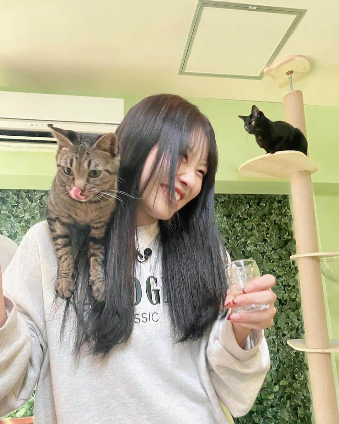 中西智代梨さんのインスタグラム写真 - (中西智代梨Instagram)「ロケで動物カフェ行ったら癒された☺️  猫ちゃんも飛び乗ってきて可愛かったなぁ🐱🤍 ※猫アレルギーです」11月14日 12時02分 - sukiyaki_daisuki512