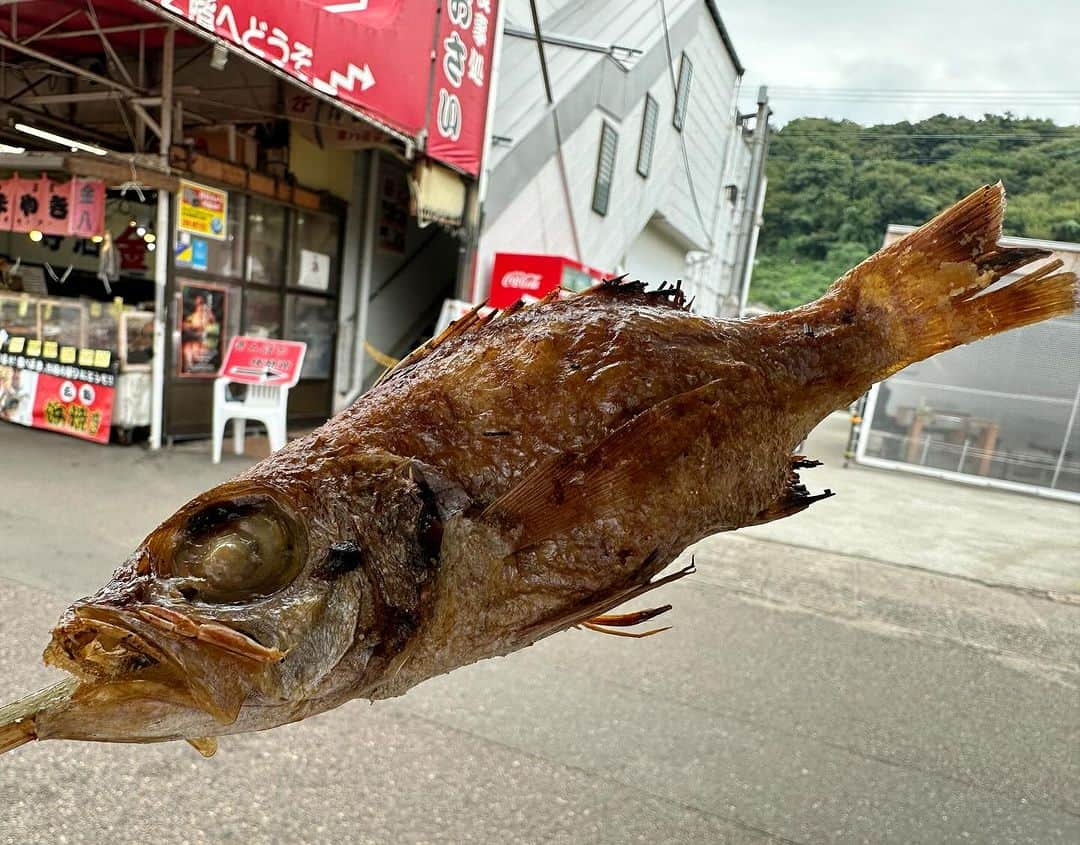 高橋美帆さんのインスタグラム写真 - (高橋美帆Instagram)「🦐🦐🦐🐟  9月の東北秘湯旅&伝統工芸品の旅の最後、燕三条から朝ご飯を食べに寺泊に行ってからもう大好き！ まさか年内にまた行けるなんて🥺💗  #寺泊 #寺泊魚の市場通り #のどぐろ #番屋汁 #新潟 #新潟グルメ #海鮮丼 #寺泊さざえ #ありがとう大倉さん」11月14日 12時30分 - miho_takahashi_39