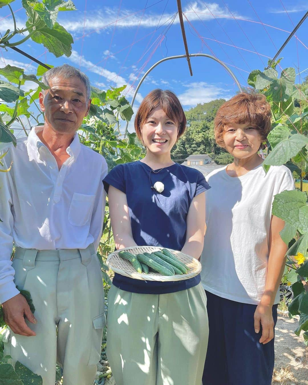 岩間瞳のインスタグラム：「＼イチオシ！こだわりの白石もろきゅうり🥒／  県内出身キャスターが各地のイチオシを お伝えするコーナー「みやぎイチオシ！」 この回（9月）は 白石市のブランド野菜"白石もろきゅうり"を取材🙋‍♀️  冬のような寒さの中なぜ 今きゅうりの投稿！？と思われたかもしれませんが この白石もろきゅうりは 12月上旬まで収穫が続いているそう🥒  一般的なきゅうりの3分の2ほどの大きさで まっすぐで形がいいのが特徴です！ その見た目のよさにこだわり続ける 生産者の方に話を聞きました。  買ってくれる人たちの信頼を損ねないよう プライドをもって作り続ける ひたむきな強い思いに胸を打たれました。  詳しくはNHK仙台放送局のホームページ →知っトク東北からWEB記事をご覧ください〜！  夏が長かった分 あっという間に秋が終わり冬がやってきたような☁️ そんな気がしますね😌 体調にはお互い気をつけながら過ごしましょう〜！！  #宮城 #宮城グルメ #仙南 #仙南グルメ #白石市 #白石グルメ #ブランド野菜 #白石もろきゅうり  #てれまさ #みやぎイチオシ #岩間瞳 #アナウンサー #キャスター #取材レポ」