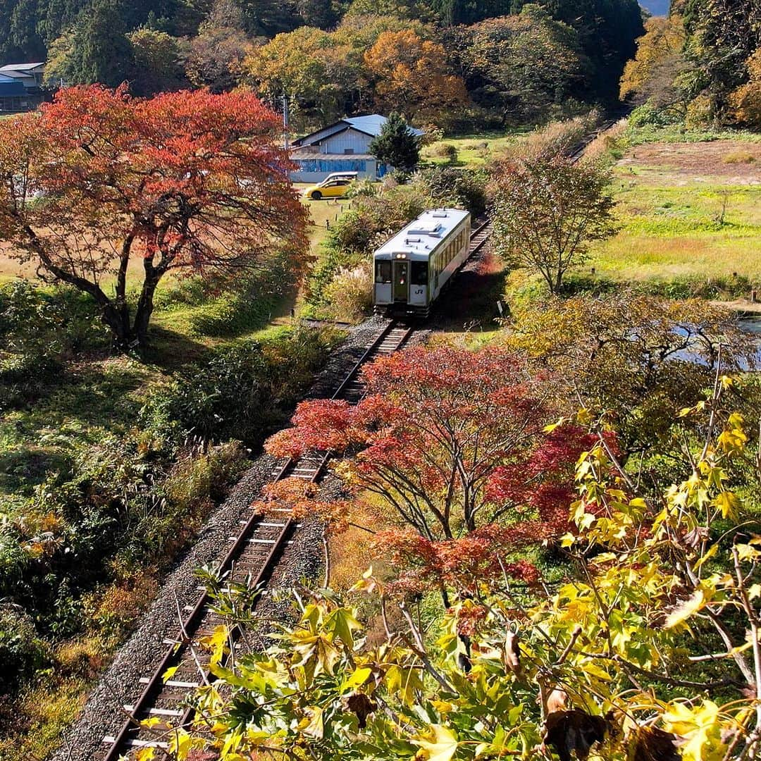 山人のインスタグラム：「本日で7日連続の北上線とJR写真です！ 今日のご紹介は岩沢駅⇆横川目間の沿線でございます✨ 脇に古民家もあり、いい景色😊  2023.11.01 撮影  #私の山人  #山人 #西和賀 #岩手 #岩手県 #温泉 #いくぜ東北 #東北グルメ巡り #東北グルメ #東北旅行 #温泉旅行 # 田舎暮らし #日本の風景 #自然が好き　 #風景写真を撮るのが好きな人と繋がりたい #田舎の風景 #紅葉 #もみじ #芸術の秋 #錦 #紅葉スポット #ぶどう #落葉 #北上線 #JR #JR東日本 #湯ったりまつり2023 #地元の鉄道を応援しよう✊#岩沢駅 #横川目駅」