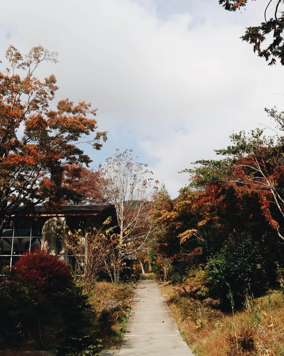 NEST INN HAKONE | 俵石閣のインスタグラム：「こちらは、föreに着いて1番初めに見る風景です。  季節ごとに変わる風景を、他の季節とくらべながらお楽しみくださいませ。  #okcshotel #okcsretreat #温故知新ホテル #箱根リトリートföre #箱根リトリートヴィラワンバイエフ #hakoneretreatföre #hakoneretreatvilla1f #woodsidedining #料亭俵石」