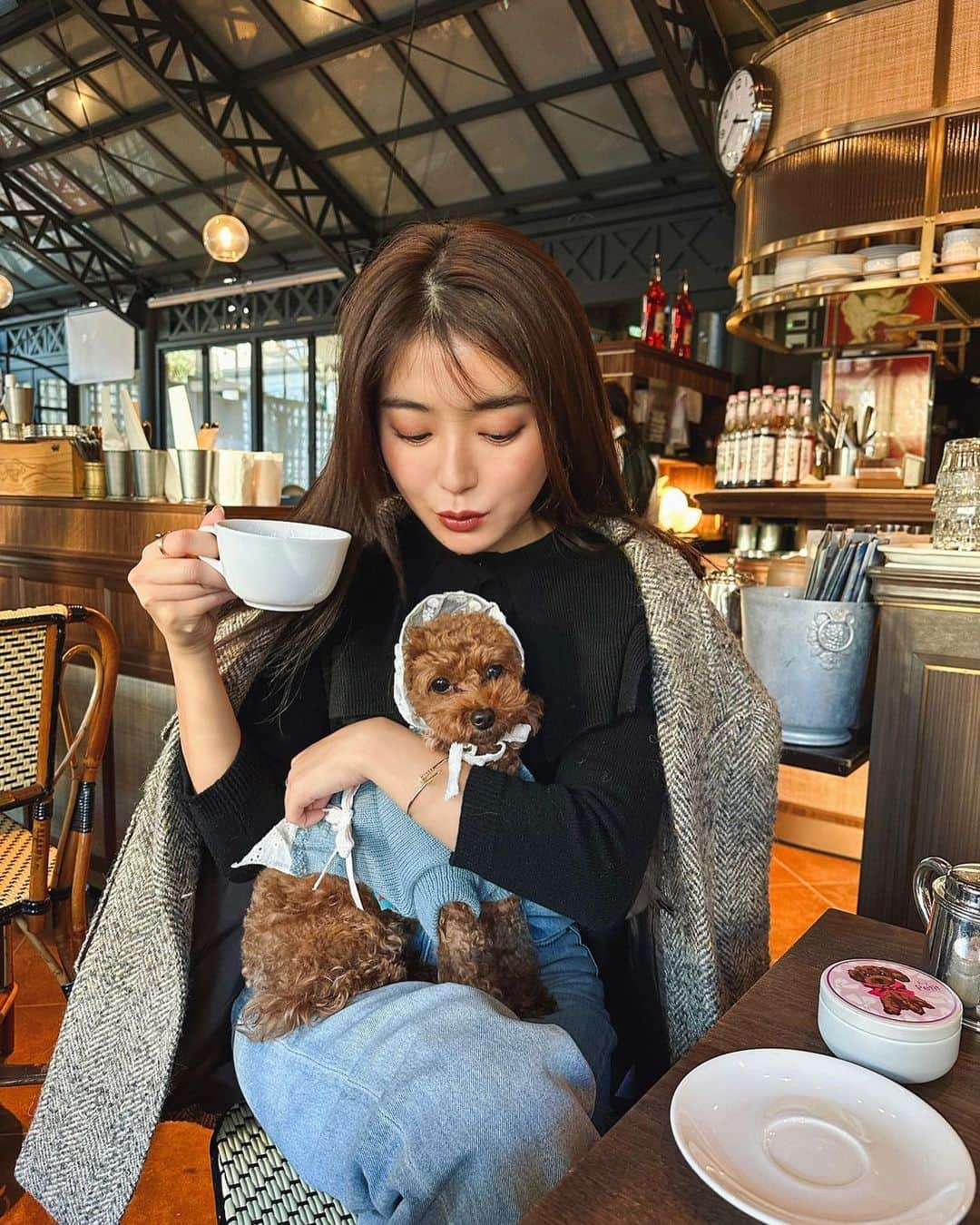 大口智恵美さんのインスタグラム写真 - (大口智恵美Instagram)「ランチタイム🐶❤️  サニーちゃんとリンちゃん🐶 色違いの洋服を着ているので、是非スライドしてみてね🤭  #lunch #mydog」11月14日 13時52分 - chemiiiii