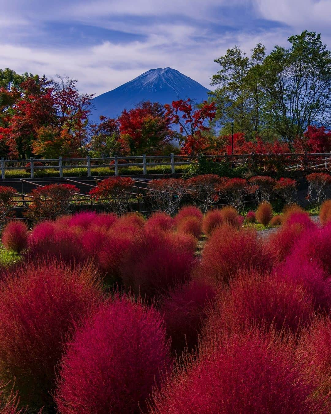 FUJIFILM INDONESIAさんのインスタグラム写真 - (FUJIFILM INDONESIAInstagram)「Selalu ada momen pertama saat memotret, dan bagi @almubarok_candra foto ini adalah awal mula ketertarikannya pada foto landscape.   Foto ini diambil dengan kamera Fujifilm X-T3 dan Lensa Fujinon XF18-135mmF3.5-5.6 R LM OIS WR yang menghasilkan warna cerah nan menarik pada foto, elemen komposisi yang beragam dan ketajaman yang merata pada bidang foto.  Pilihan kamera dan lensa ini memang salah satu pilihan untuk memotret landscape. Kalau kamu memilih menggunakan lensa apa untuk memotret landsape? Share ya di komen.   Captured by @almubarok_candra Using Fujifilm X-T3 Lens Fujinon XF18-135mmF3.5-5.6 R LM OIS WR  #XT3 #XT3_id #XF18135MMF3556RLMOISWR #Fujifilm_id #FujifilmIndonesia」11月14日 14時01分 - fujifilm_id