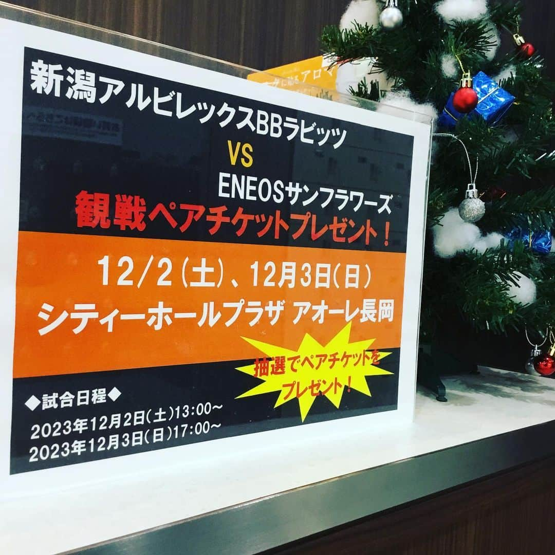 JOYFIT長岡日赤のインスタグラム：「🏀新潟アルビレックスB Bラビッツ✖️ENEOSサンフラワーズ🏀のペア観戦チケットを抽選でプレゼント致します❣️  フロントにある応募用紙に必要事項をご記入の上、応募箱へ投函してください！ 1日１回応募できますので、来館が多い方が当選確率アップ⤴️  応募期間:11月27日まで 当選発表:11月28日お電話にて  試合前までにフロントでのチケット受け取りが可能な方のみご応募ください🙇  #JOYFIT#長岡市#スポーツジム#バスケ#女子バスケ#試合観戦」