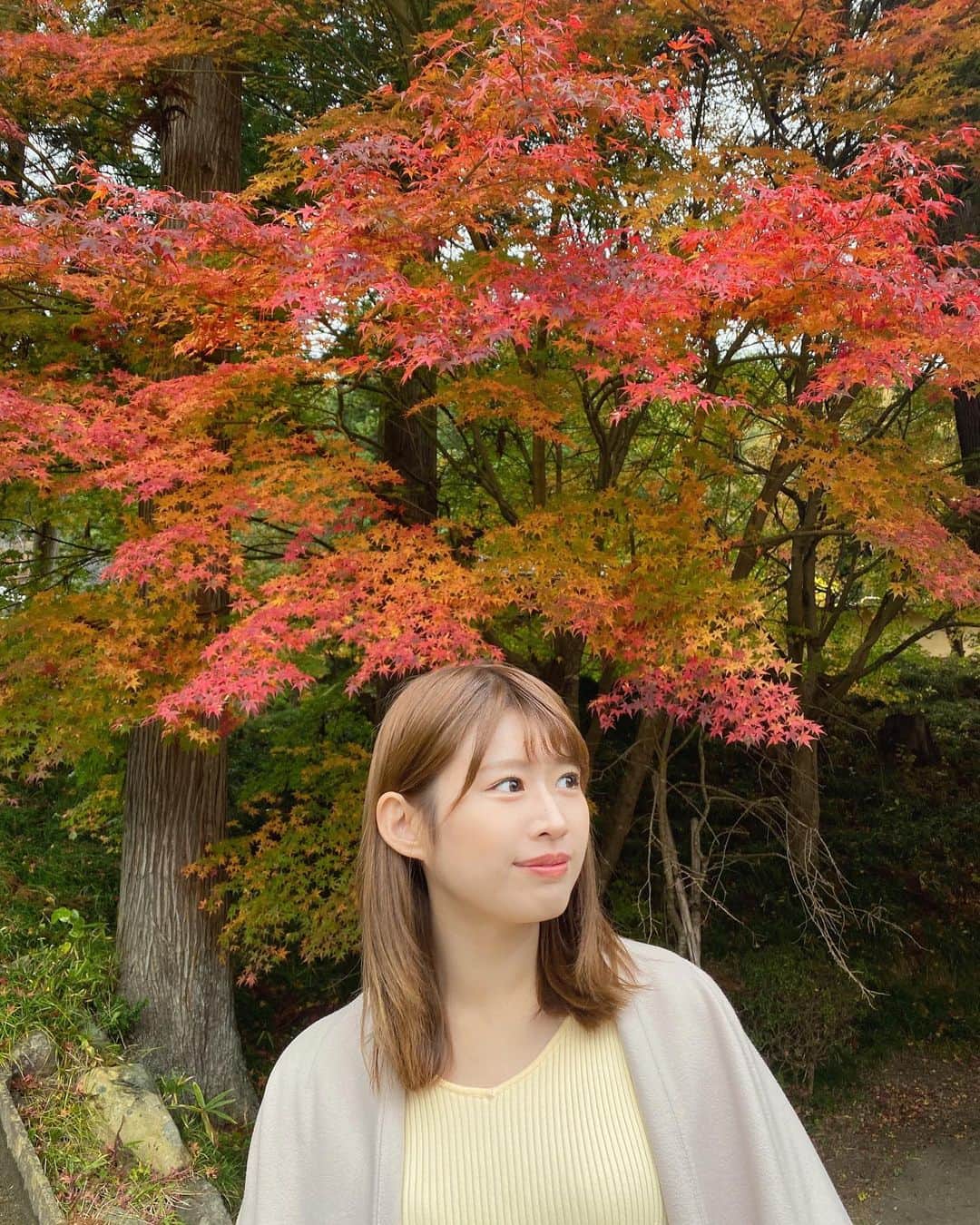 佐藤朱のインスタグラム
