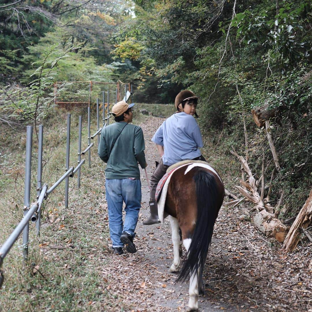 きなこさんのインスタグラム写真 - (きなこInstagram)「大阪茨木の山で馬あそび🐴🍁 早くまた行こう！と熱いリクエストを受け続け、2度目のぱこぽこひろば。前回よりもリラックスして馬に指示を出せるようになっていたり、背中の上でのバランス感も良くなり、それを褒めてもらえるのも嬉しそうでした👦  普段難しいと思うことには慎重だったり心が折れてしまいがちなタイプだけど、馬と心を通わし合いながらの挑戦にはやる気が湧いてくるようで、難しさも楽しんでいるのが伝わってくる👀  今回も毛のブラッシングやごはんの用意などたっぷり馬のお世話をさせてもらい、自然の中で遊んで、ずーっと生き生きしてた息子でした☺️  （ぱかぽこ、遊びに行かれる際は電話予約が必要です🙌）  #ぱかぽこひろば #馬 #乗馬 #茨木市 #きなこのおでかけきろく #こどもとおでかけ #小学生 #小学生男子 #育児 #子育て #こどもと暮らす」11月14日 20時31分 - kinako_710