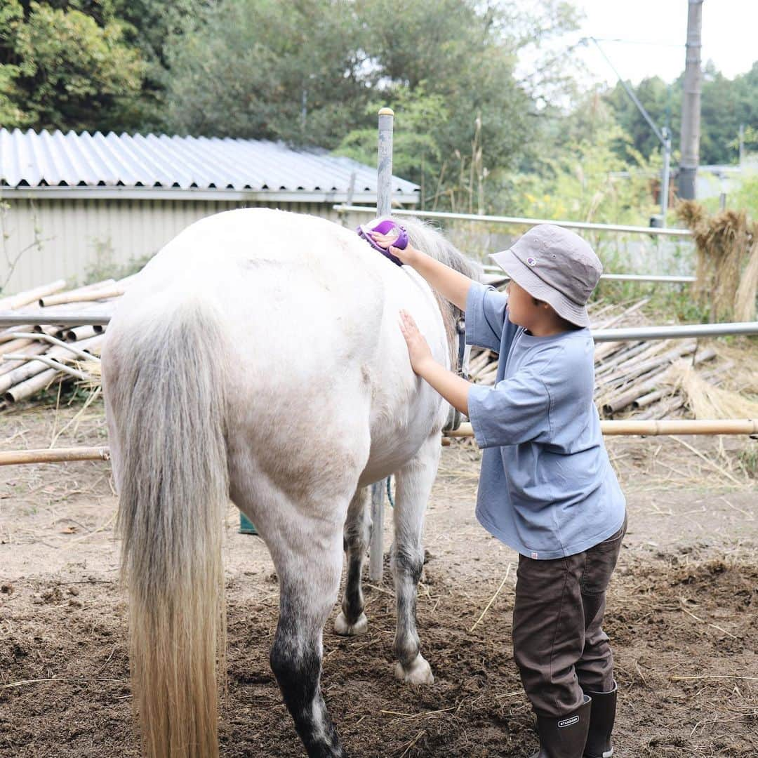 きなこさんのインスタグラム写真 - (きなこInstagram)「大阪茨木の山で馬あそび🐴🍁 早くまた行こう！と熱いリクエストを受け続け、2度目のぱこぽこひろば。前回よりもリラックスして馬に指示を出せるようになっていたり、背中の上でのバランス感も良くなり、それを褒めてもらえるのも嬉しそうでした👦  普段難しいと思うことには慎重だったり心が折れてしまいがちなタイプだけど、馬と心を通わし合いながらの挑戦にはやる気が湧いてくるようで、難しさも楽しんでいるのが伝わってくる👀  今回も毛のブラッシングやごはんの用意などたっぷり馬のお世話をさせてもらい、自然の中で遊んで、ずーっと生き生きしてた息子でした☺️  （ぱかぽこ、遊びに行かれる際は電話予約が必要です🙌）  #ぱかぽこひろば #馬 #乗馬 #茨木市 #きなこのおでかけきろく #こどもとおでかけ #小学生 #小学生男子 #育児 #子育て #こどもと暮らす」11月14日 20時31分 - kinako_710