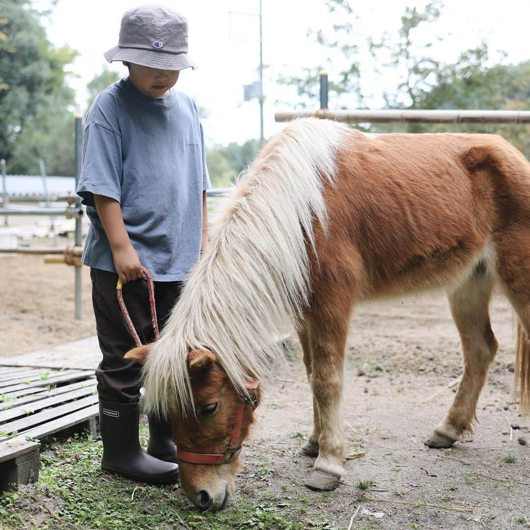 きなこのインスタグラム：「大阪茨木の山で馬あそび🐴🍁 早くまた行こう！と熱いリクエストを受け続け、2度目のぱこぽこひろば。前回よりもリラックスして馬に指示を出せるようになっていたり、背中の上でのバランス感も良くなり、それを褒めてもらえるのも嬉しそうでした👦  普段難しいと思うことには慎重だったり心が折れてしまいがちなタイプだけど、馬と心を通わし合いながらの挑戦にはやる気が湧いてくるようで、難しさも楽しんでいるのが伝わってくる👀  今回も毛のブラッシングやごはんの用意などたっぷり馬のお世話をさせてもらい、自然の中で遊んで、ずーっと生き生きしてた息子でした☺️  （ぱかぽこ、遊びに行かれる際は電話予約が必要です🙌）  #ぱかぽこひろば #馬 #乗馬 #茨木市 #きなこのおでかけきろく #こどもとおでかけ #小学生 #小学生男子 #育児 #子育て #こどもと暮らす」