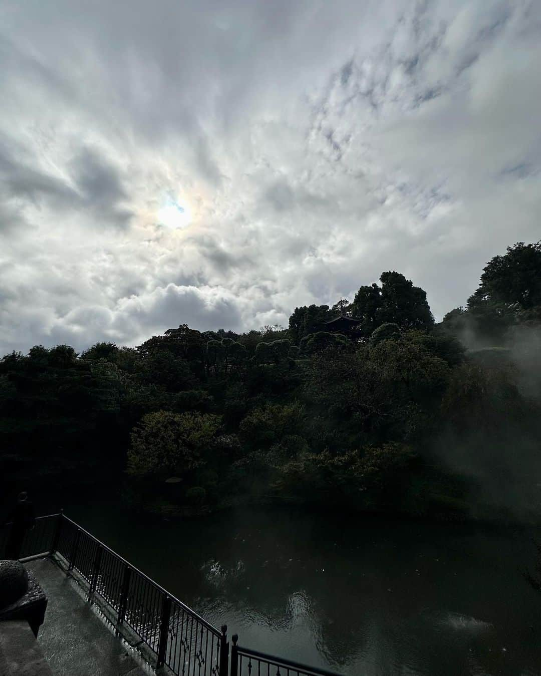 三井里彩さんのインスタグラム写真 - (三井里彩Instagram)「📍椿山荘 母リクエストで雲海見に行きました☁️🌳🌫️🌲🌧️  雨降ってたけど見る頃には止んだ☺️🤍 夜も見たかった…🌕夜はもっと幻想的だと思う🥺✨🌌  砂利を踏む音が気持ち良すぎるの😌🎶  #椿山荘 #東京雲海 #庭園 #雲海 #東京ホテル #おでかけスポット #chinzanso #tokyomoon #japanesegarden」11月14日 20時31分 - risa__mitsui