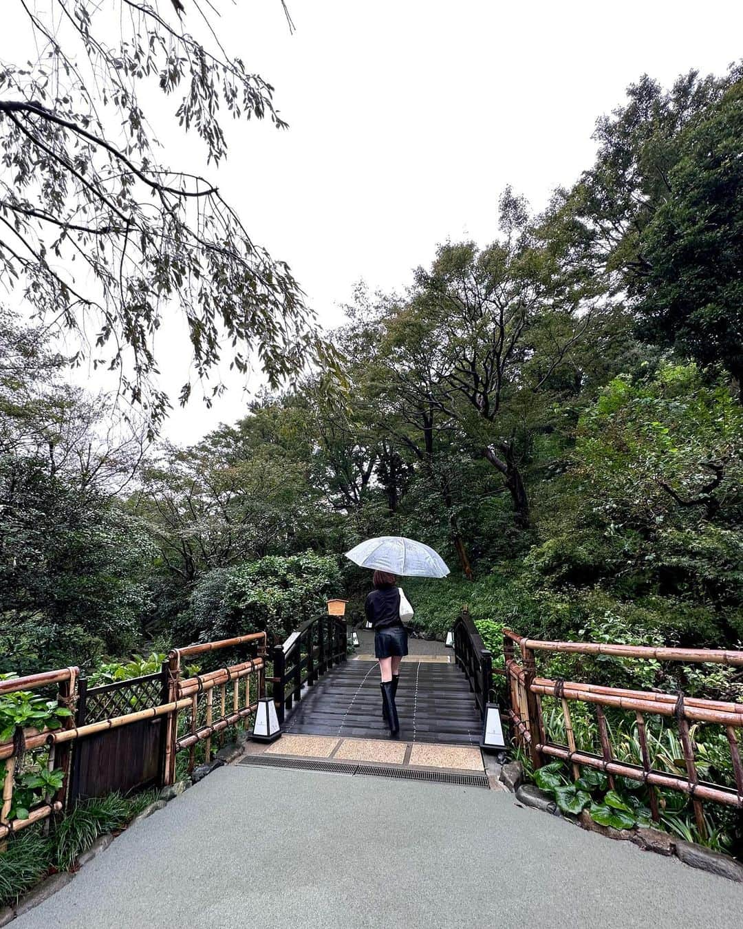 三井里彩のインスタグラム：「📍椿山荘 母リクエストで雲海見に行きました☁️🌳🌫️🌲🌧️  雨降ってたけど見る頃には止んだ☺️🤍 夜も見たかった…🌕夜はもっと幻想的だと思う🥺✨🌌  砂利を踏む音が気持ち良すぎるの😌🎶  #椿山荘 #東京雲海 #庭園 #雲海 #東京ホテル #おでかけスポット #chinzanso #tokyomoon #japanesegarden」