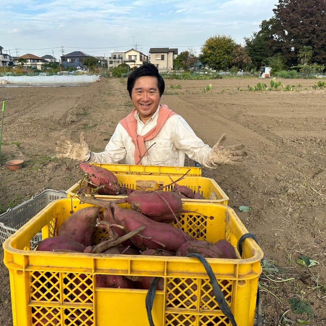 小石田純一さんのインスタグラム写真 - (小石田純一Instagram)「サツマイモ収穫しました。詳しくはYouTube「小石田Jチャンネル」を見てください！  #サツマイモ  #サツマイモの収穫  #農業 #小石田農園 #小石田Jチャンネル #小石田純一 #お笑い芸人 #ものまね芸人 #兼業農家 #youtuber」11月14日 15時13分 - koishida.trendy