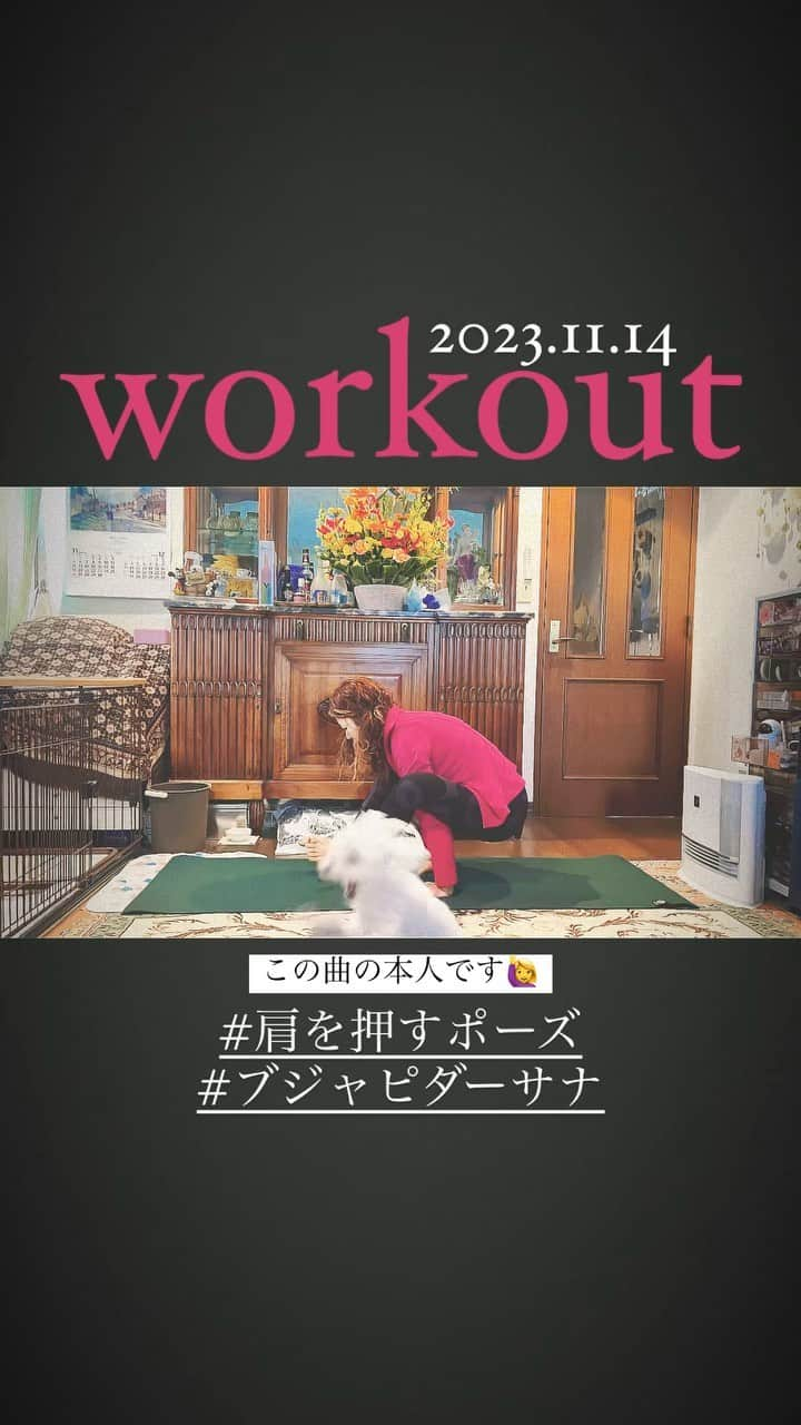 梶有紀子のインスタグラム：「@kajiyukiko1112 👈Follow me❣️この曲の本人です🎤  本日の #workout #ヨガ #yoga は満遍なくいろんなポーズで身体を動かしました🧘‍♀️  1つ上手くいかないポーズがあって…どうやら左右どちらかに重心を置くのが苦手みたい😳まだまだだな  あきちゃん @purnatraki いつもありがとう🫶  *~*~*~*~*~*~*~*~*~*~  #おうちヨガ #オンラインヨガクラス #ヨガ動画」