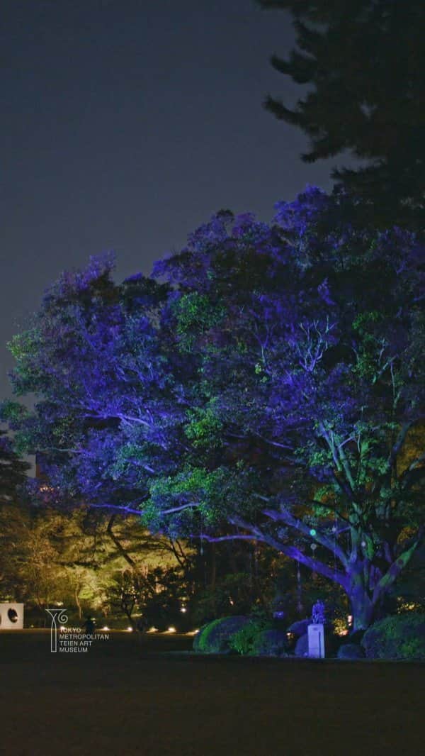 東京都庭園美術館のインスタグラム：「\ 紹介ムービー公開中 /  朝香宮邸が建つずっと前からこの地を見守ってきたオオエノキ、それに寄り添うように並び立つムクノキは、芝庭のシンボルツリーです。その木を祝の紙吹雪のように光に輝くモビールで飾り付け、40 周年のお祝いの大樹にします。夜にはプロジェクションマッピングで映像を投影し、大樹の精霊が私たちに問いかけてくるような、幻想的な光の調べがくりひろげられます。  開催日　10 月 20 日（金）- 11 月 19 日（日） 時　間　各日 16:00-18:00 ※11 月 17 日(金)、18 日(土)は 20:00 まで夜間開館 場　所　東京都庭園美術館 芝庭 参加費　無料（ただし、展覧会チケット又は庭園入場料が必要です）  特設 HP はこちら👉https://teien40th.jp/project/231020-1119-anniversary-festival.html」