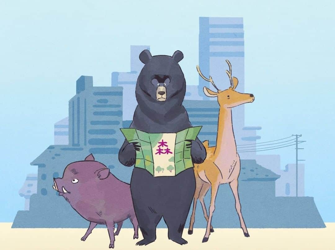 のインスタグラム：「Boar, deer, macaques and even bears are among the many wild animals you may encounter in Japan — that is, if you’re out in the countryside. Two-thirds of the nation’s land mass is forested, after all.  However, there have been a spate of reports in recent months concerning various animal sightings — and even attacks — across towns and cities in Japan, the most frightening of which were perpetrated by bears in the northern Tohoku region, giving rise to the term “āban beā” (urban bear) as a result.  The term has become prevalent enough to be nominated as one of the year’s top buzzwords.  The urban bear phenomenon can be attributed to a variety of environmental factors such as warmer winters and seasonal fluctuations in available food. More concerning, though, is how a shrinking, graying population has led to a lack of hunters and a proliferation of abandoned farmland and deserted communities — all of which had previously acted to keep these animals at bay. Without them, the beasts have been encroaching deeper into urban areas and significantly raising the risk of violent, sometimes deadly, encounters.  “I’ve heard of wild boar sightings in the outskirts of Chiba, but never here in Chuo Ward,” said one resident of Chiba city. “What in the world is going on?” Read more with the link in our bio.  🎨: @chuanming_ong  #japan #tokyo #chiba #nature #news #japantimes #日本 #東京 #千葉 #千葉市 #自然 #ニュース #ジャパンタイムズ #🐻」