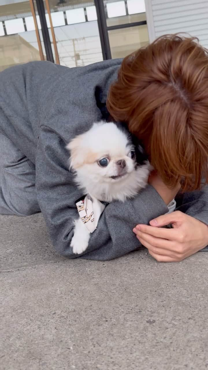 西島隆弘（Nissy）のインスタグラム：「撮影終わりにスタジオにいたつくねちゃん🐶 #ちん」