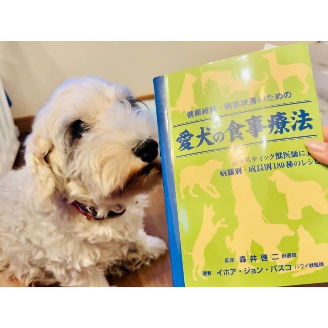 有村実樹のインスタグラム：「ご質問があったのでご紹介。  今読んでいる犬の手作りご飯の本は「健康維持・病気改善のための愛犬の食事療法」です。 動物病院の先生にご紹介いただいたものですが、2016年発行で少し古いものなので、店頭にないかも？？ 私はネットで購入しましたよー🐶 まだ読み終わっていませんが、東洋医学的なものも取り入れている内容でした。  #スキンケア #美容 #美容好きな人と繋がりたい #メイク #コスメ #コスメ好きさんと繋がりたい #美容研究家 #植物療法士 #有村実樹 #犬 #イリス #シーリハムテリア #繁殖引退犬 #sealyhamterrier」