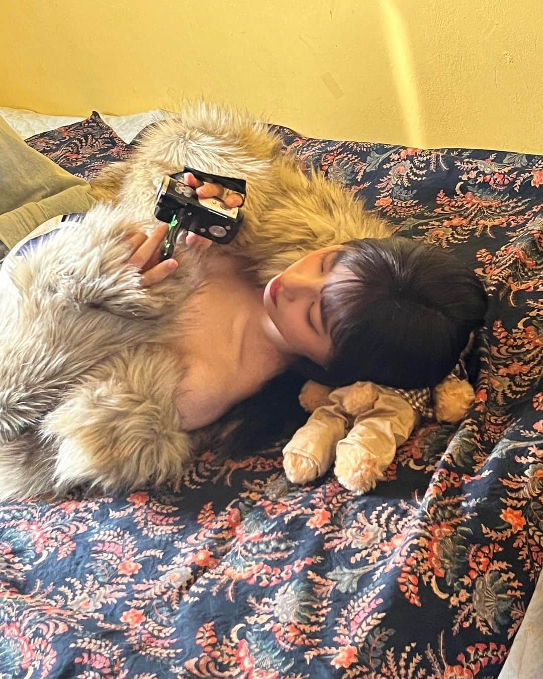 カン・ヘウォンさんのインスタグラム写真 - (カン・ヘウォンInstagram)「😺😽😼」11月14日 16時51分 - hyemhyemu