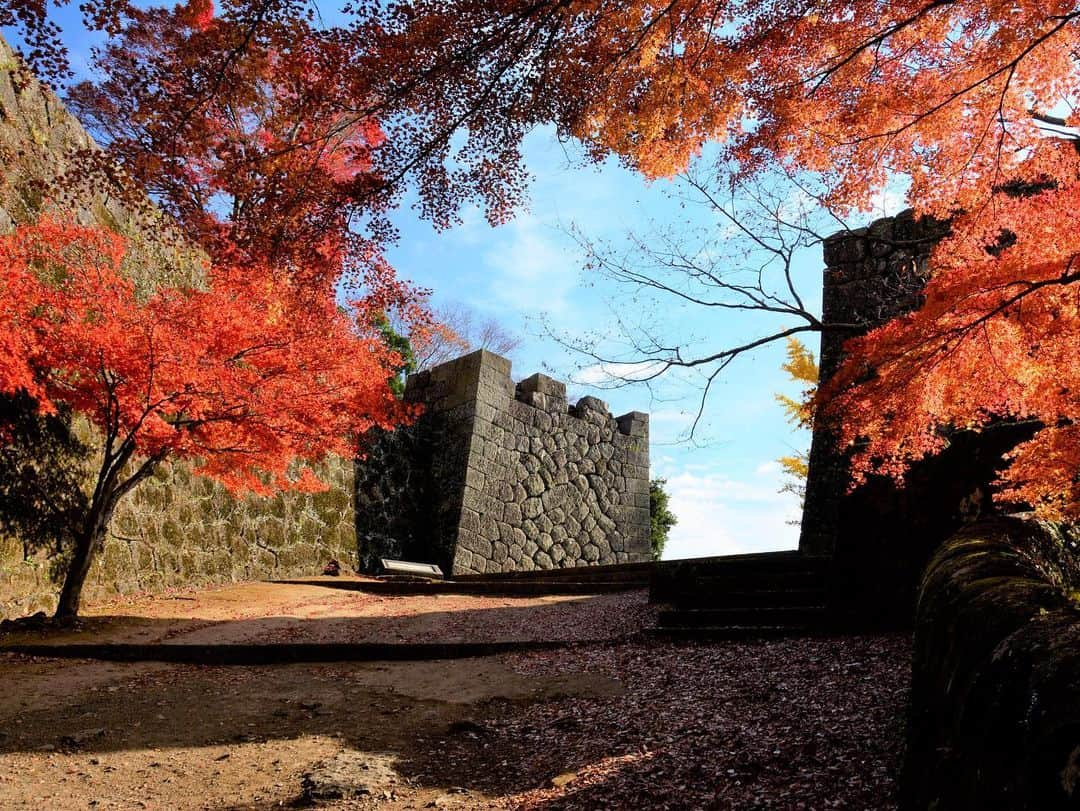 九州電力のインスタグラム：「難攻不落の石垣と紅葉🍁 . 大分県竹田市の「岡城」は、周囲を囲う断崖絶壁とその岸壁上に築かれた石垣から「難攻不落」の堅城として知られる名城です。現在御殿などの建築物は残っていませんが、石垣からは阿蘇山や城下町などを一望することができます。 瀧廉太郎作曲の「荒城の月」のモチーフにもなったことでも有名です🏯 この時期、城跡内は真っ赤に色づいた紅葉で彩られ、石垣と紅葉の美しいコントラストを楽しむことが出来ます🍁 . ----------------------------------------------- 📍岡城跡 住所：大分県竹田市竹田2761（岡城料金所） 入場料：高校生以上300円、小中学生150円 駐車場：あり（無料） 電話：0974-63-1541 ----------------------------------------------- ※写真提供：竹田市教育委員会 まちづくり文化財課 ※最新情報は公式ホームページをご確認ください。 ※写真は過去に撮影されたものです。  お届けする九州の風景が、皆さまの元気や癒しになれば幸いです☘️  #九州電力 #大分 #竹田市 #岡城跡 #紅葉 #紅葉スポット #城 #大分観光 #九州観光」