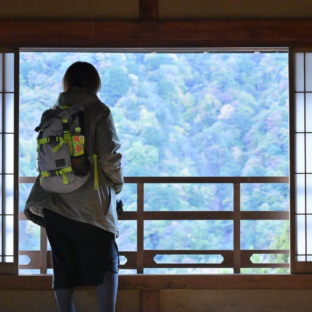 japanese forest & web designer　kapiosanのインスタグラム