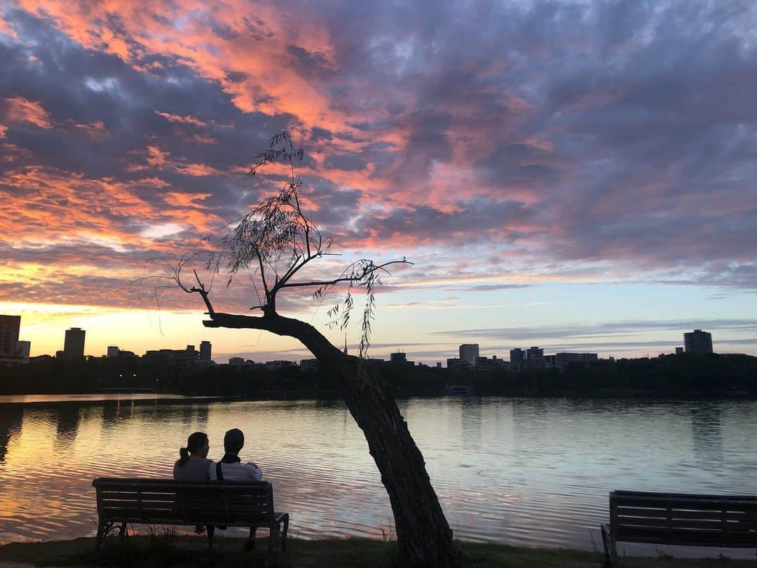 岡田和樹さんのインスタグラム写真 - (岡田和樹Instagram)「福岡の旅 素敵な景色にたくさん出会えました☺️  1日で36000歩くらい歩いててビックリ。 今しかできない経験です😌笑  #大濠公園  #福岡  #夕方  #黄昏時  #夕焼け  #鳥居  #神社  #景色  #自然  #fukuoka」11月14日 17時31分 - okada.stv