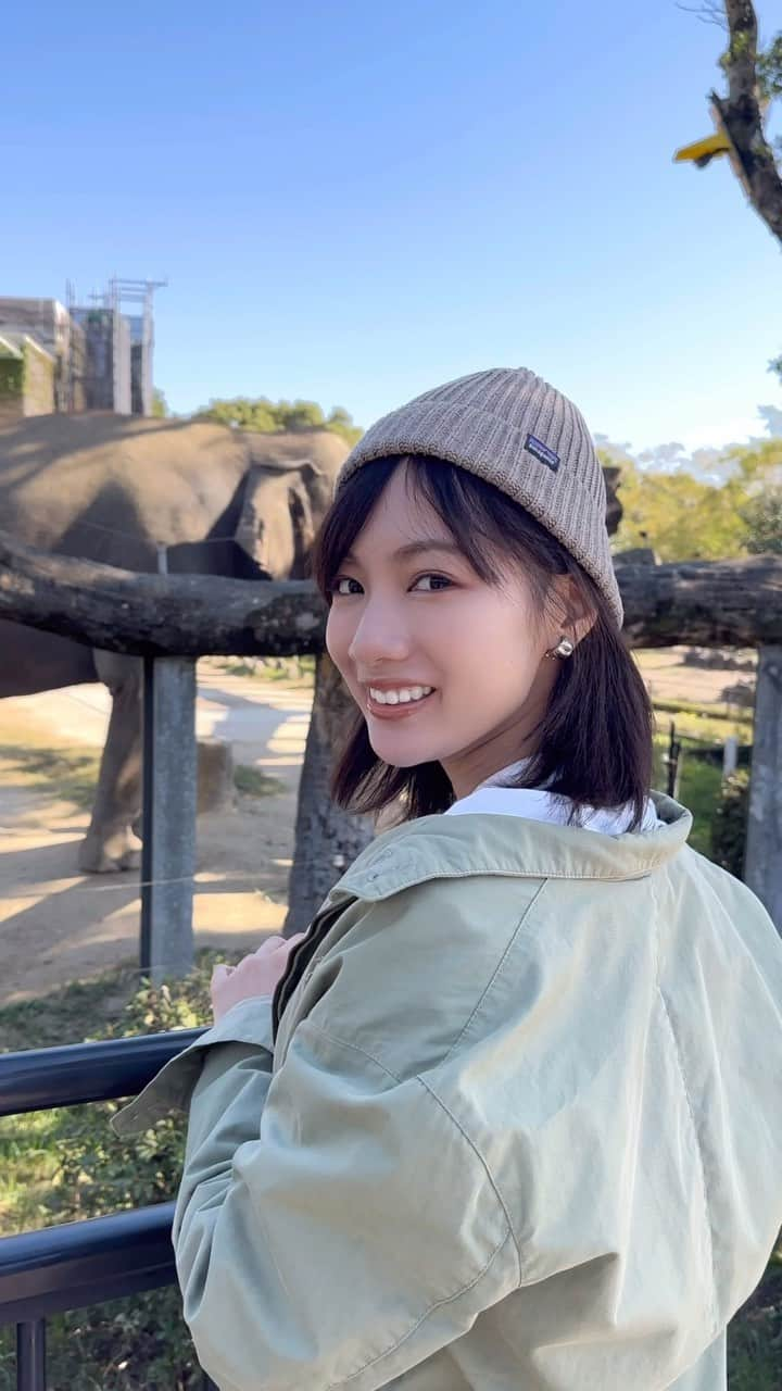 矢野優花のインスタグラム：「動物園に行ってきました☺︎」