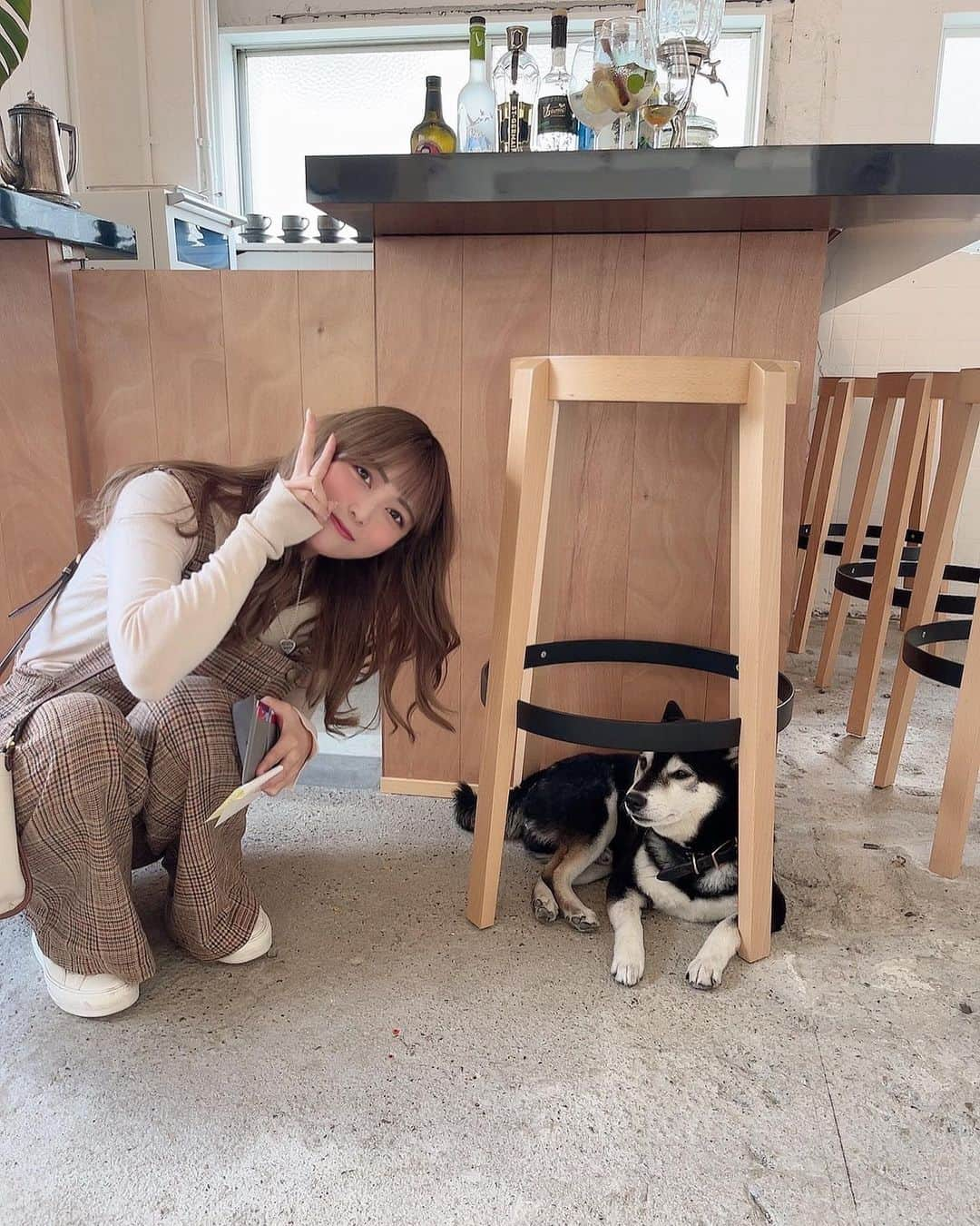 あいりさんのインスタグラム写真 - (あいりInstagram)「NOW & THEN  二条城前駅から徒歩5分 柴犬のいるカフェBARに 行ってきたよ🐕💕 . もー可愛すぎて癒しすぎた🥹🤎 いろんなお客さんのとこ行って ファンサ良すぎた🥹 . 自家製プリンおいしかったー🍮✨ 店内も開放感あって オシャレだったーー🥰 . . #京都 #京都カフェ #京都グルメ  #二条 #二条カフェ #烏丸御池  #烏丸御池カフェ #京都bar  #京都バー #柴犬 #カフェ巡り  #京都観光 #京都旅行 #グルメ女子  #kyoto #kyotojapan #kyototrip  #카페 #강아지 #일본 #귀여워 #팔로우  #instagood #instalike #followme」11月14日 18時00分 - gtamtgat