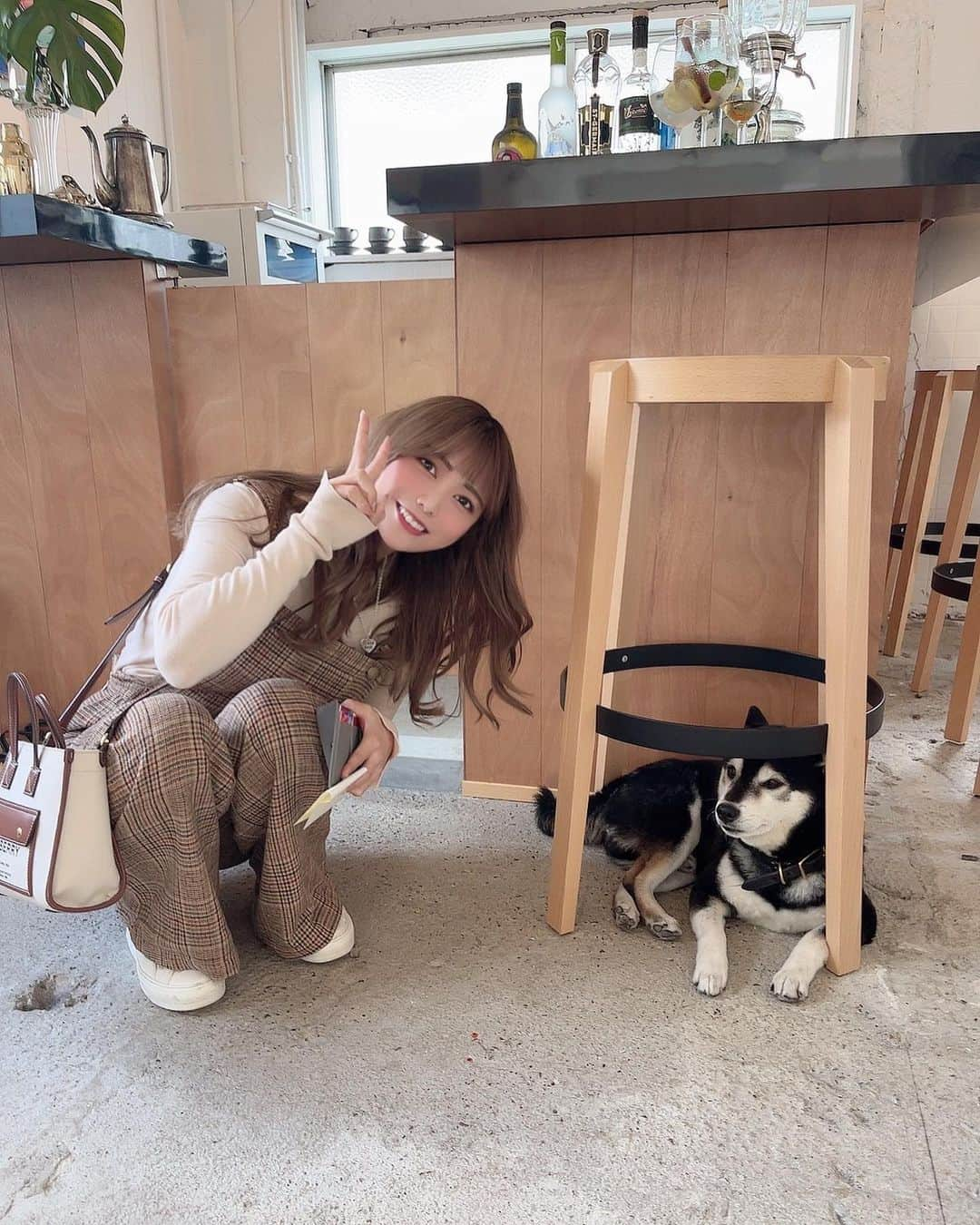 あいりさんのインスタグラム写真 - (あいりInstagram)「NOW & THEN  二条城前駅から徒歩5分 柴犬のいるカフェBARに 行ってきたよ🐕💕 . もー可愛すぎて癒しすぎた🥹🤎 いろんなお客さんのとこ行って ファンサ良すぎた🥹 . 自家製プリンおいしかったー🍮✨ 店内も開放感あって オシャレだったーー🥰 . . #京都 #京都カフェ #京都グルメ  #二条 #二条カフェ #烏丸御池  #烏丸御池カフェ #京都bar  #京都バー #柴犬 #カフェ巡り  #京都観光 #京都旅行 #グルメ女子  #kyoto #kyotojapan #kyototrip  #카페 #강아지 #일본 #귀여워 #팔로우  #instagood #instalike #followme」11月14日 18時00分 - gtamtgat