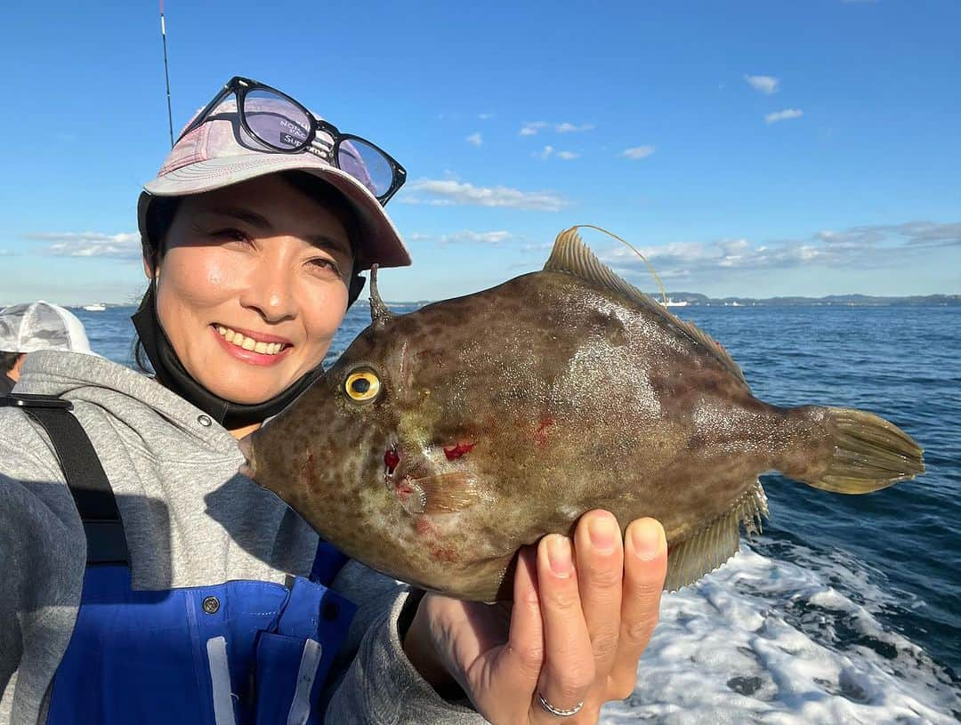 川目梢のインスタグラム：「さてさて本日は 鴨居『五郎丸』さんで カワハギ修行🎣  合わせが下手くそで 巻き途中に5尾ほどバラし ちきしょー。 くやしいぜ また早くカワハギ行きたいです😭  んでもってハコフグとやら初めて釣った！ まぢで四角い作りなのね かわいいじゃんか💕  #五郎丸 #カワハギ #カワハギ釣り #釣り #釣りガール #釣り女子 #釣りスタグラム #釣りバカ #釣り好き」