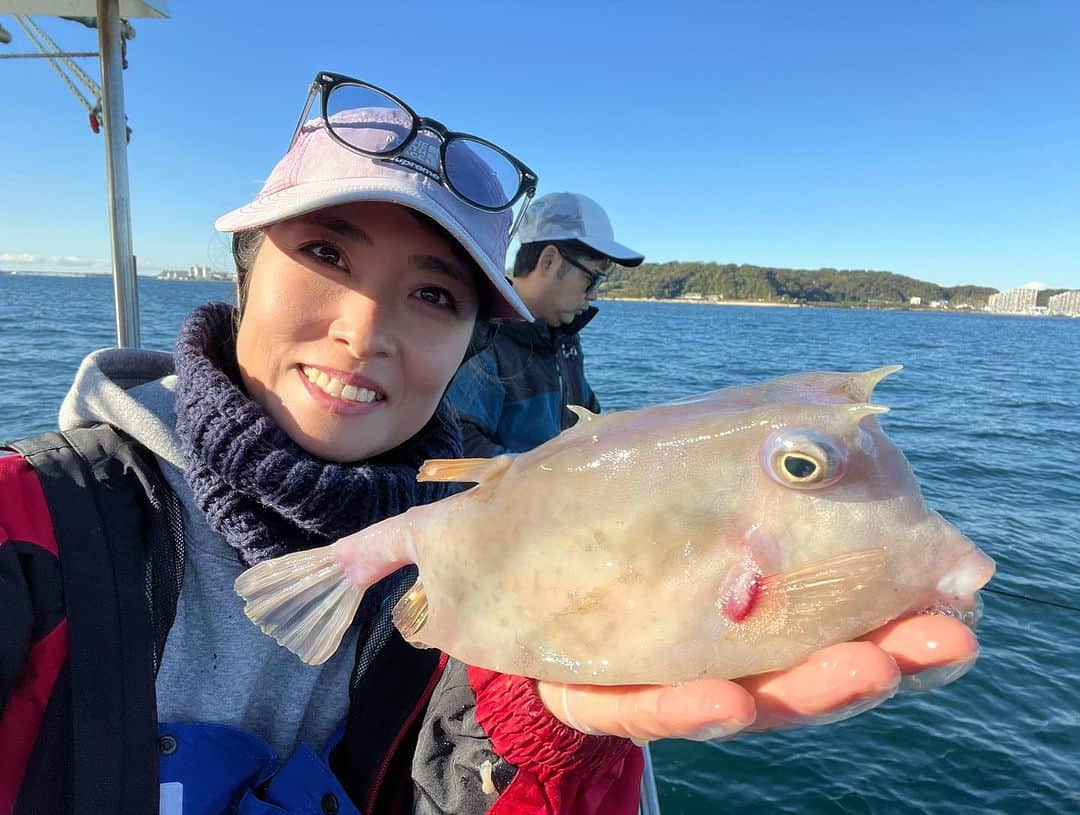 川目梢さんのインスタグラム写真 - (川目梢Instagram)「さてさて本日は 鴨居『五郎丸』さんで カワハギ修行🎣  合わせが下手くそで 巻き途中に5尾ほどバラし ちきしょー。 くやしいぜ また早くカワハギ行きたいです😭  んでもってハコフグとやら初めて釣った！ まぢで四角い作りなのね かわいいじゃんか💕  #五郎丸 #カワハギ #カワハギ釣り #釣り #釣りガール #釣り女子 #釣りスタグラム #釣りバカ #釣り好き」11月14日 18時01分 - kozukozu0615