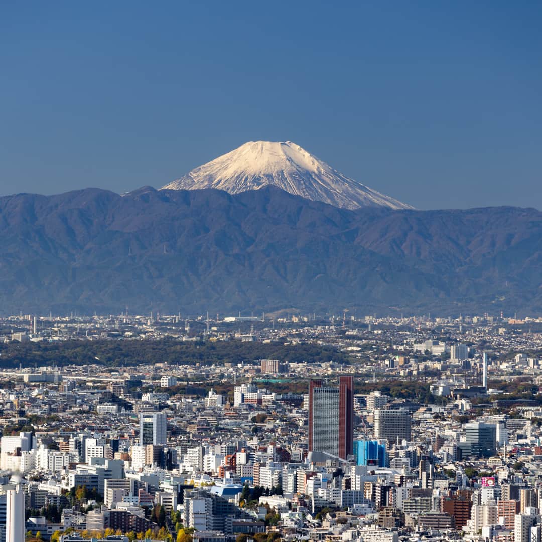 Tokyo City View 六本木ヒルズ展望台のインスタグラム：「ぐっと気温が下がり、空気が澄んで冬の気配を感じますね。 東京シティビューからは雪化粧をした富士山をゆっくりとご覧いただけます。 ぜひお越しください🙂  ★11/19（日）まで一部通行規制、11/20（月）～11/22（水）は休館いたします。 https://tcv.roppongihills.com/jp/news/2023/10/6916/  東京シティビュー （六本木ヒルズ森タワー52F） https://tcv.roppongihills.com/jp/  撮影：荒谷良一  #六本木ヒルズ展望台 #東京シティビュー #展望台 #夕景 #富士山 #景色 #荒谷良一 #RoppongiHillsObservation #TokyoCityView #TCV #mtfuji #mtfujiphoto_ig #mtfujijapan #mtfuji_fpn #Tokyo # #japantravel #tokyo #roppongi #RyoichiAratani #travelgram #japantrip #japan_daytime_view #japan_of_insta #bestjapanpics #tokyomuseum #artoftheday」