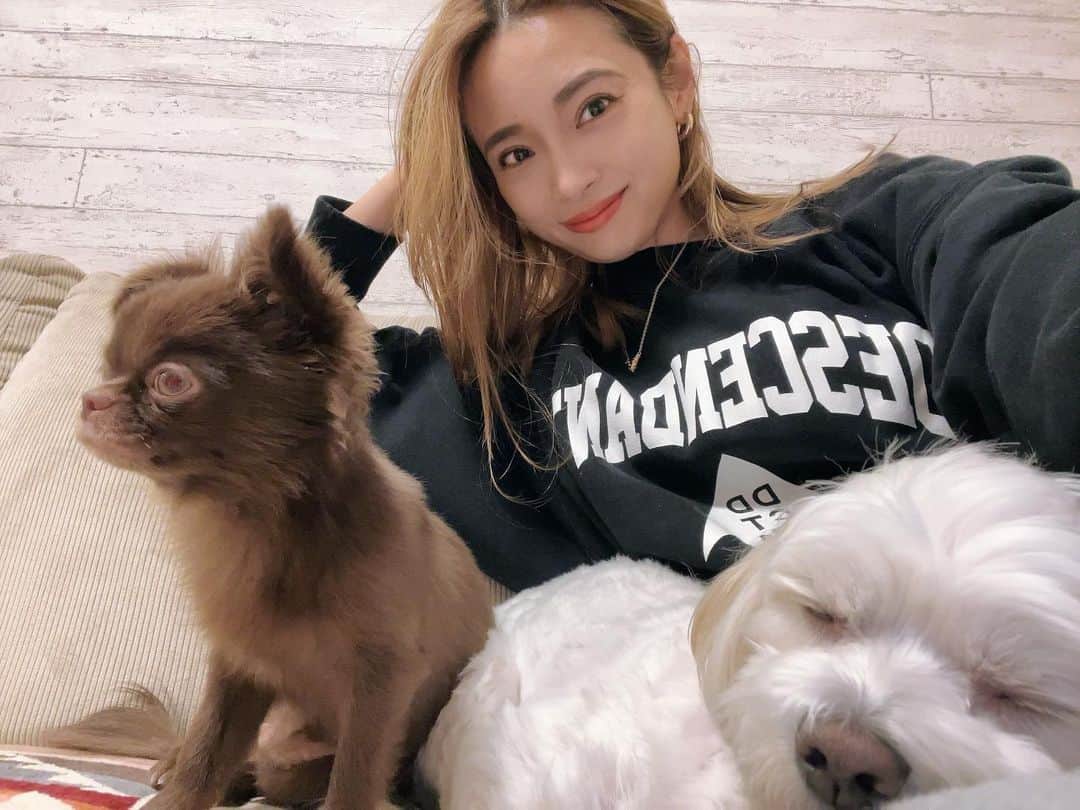 本多末奈のインスタグラム：「ブレずに撮れた奇跡の3ショット📸  わんこ達と写真撮るのはまぁまぁの至難の業ですが 1枚めでキリッと撮れました😳👏 多頭飼いだとさらに難しいのよね〜。笑  さて、今日もお散歩いきますか✊  最近寒いけど雨じゃないので スムーズにお散歩行けるのがとても素敵💓  #いぬのいる暮らし #多頭飼い #犬との暮らし」