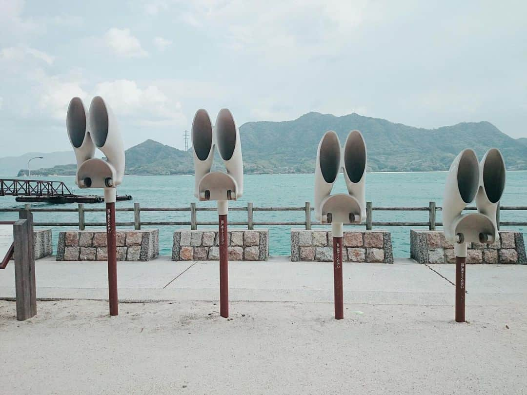 藤本冬香のインスタグラム：「「うさぎの島」とも呼ばれる大久野島の紹介です🐰  これは２０１８年の４月に家族旅行で訪れた時の写真です📸  沢山のうさぎさんに会えます🐰💕 かつては毒ガス製造工場があり、資料館では平和について考える事ができます。  #hitひろしま観光大使 #竹原 #広島 #観光 #うさぎ #島 #船 #海 #旅行 #オススメ #ひろしま #平和 #資料館」