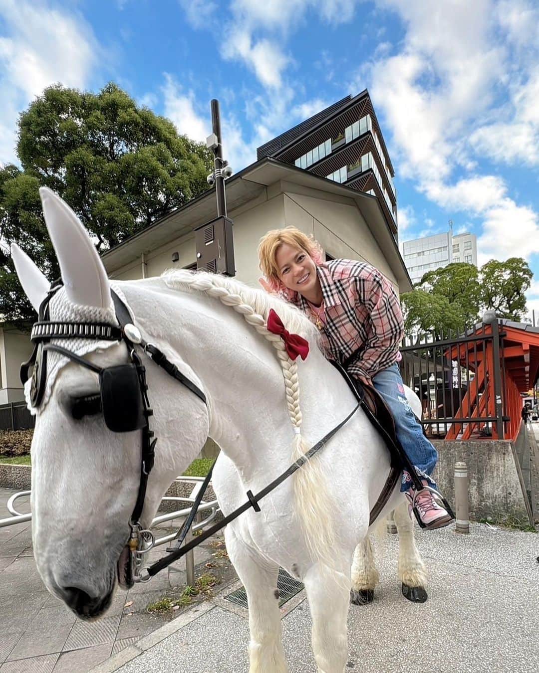 春木開さんのインスタグラム写真 - (春木開Instagram)「白馬はいかがですか？🔔🐎 #フェラーリより白馬に乗るのが俺流 #結婚式は白馬とかぼちゃの馬車で現れたい🎃🐴💒」11月14日 18時09分 - haruki.kai