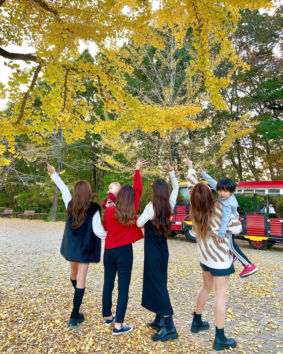 yurishonさんのインスタグラム写真 - (yurishonInstagram)「🍂🍁🍂...  初めての秩父楽しかった♡  ⁡ #銀杏#銀杏並木#いちょう#いちょう並木 #秩父#秩父ミューズパーク」11月14日 18時21分 - yurishon