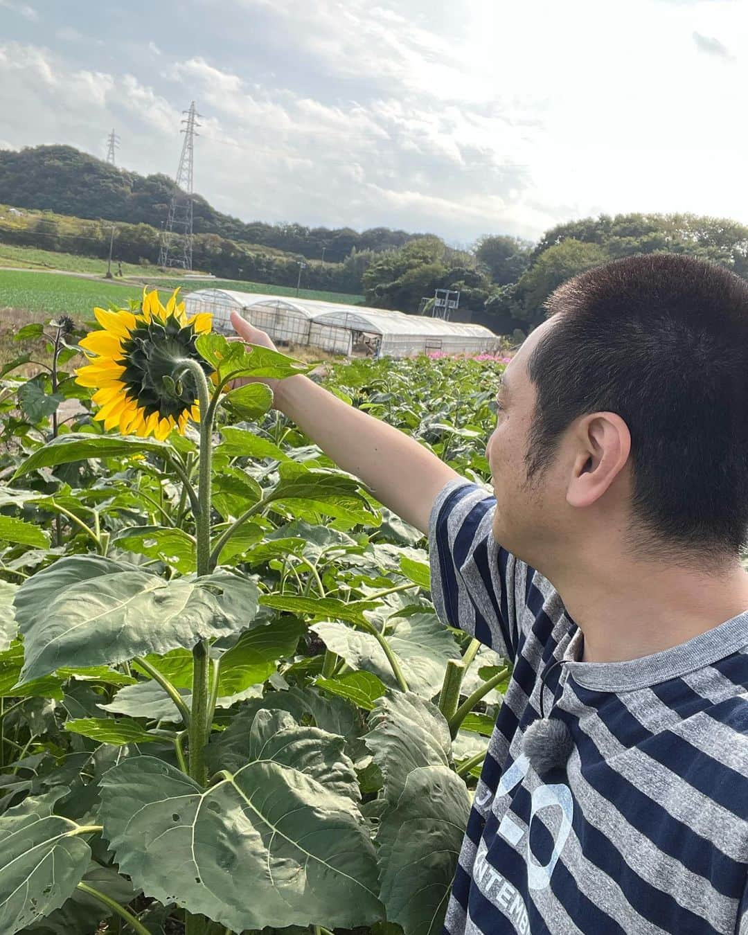 JP（ものまねタレント）さんのインスタグラム写真 - (JP（ものまねタレント）Instagram)「チャント！有難うございました  仕事のご依頼はインスタのDMでお問合せください。  Twitterアカウント→　#jpmaesaka Twitterアカウントポケモン→#jp_pkmn YouTubeチャンネル→#モノマネモンスターJP TikTok→#monomamejp #🌻  #jpのこの目で確かめさせていただきます  #チャント #名古屋 #トクメイ  #ものまね代行世代 #ワイドナショー #JPさん #松本人志 #浜田雅功 #ダウンタウン #ものまね芸人 #松本人志ものまね #研音 #川島明ものまね #ラヴィット #滋賀芸人 #農業高校出身 #すべらない話 #IPPONグランプリ #ダウンタウンDX #どどどどっとJP #おはスタポケモン部 #ポケモン #しゃべくり007」11月14日 18時29分 - metamonjp