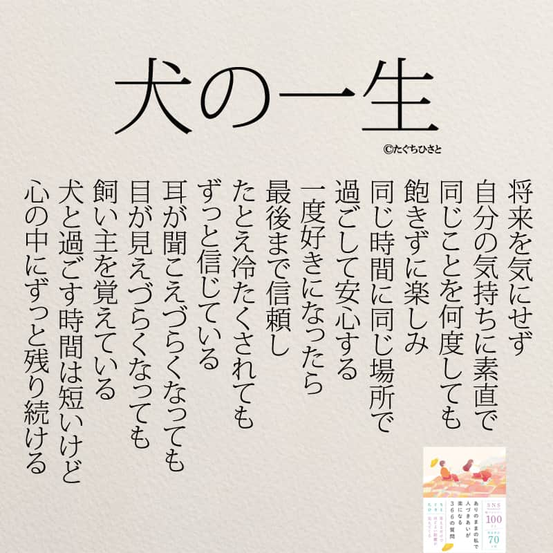 yumekanauのインスタグラム：「もっと読みたい方⇒@yumekanau2　後で見たい方は「保存」を。皆さんからのイイネが１番の励みです💪🏻役立ったら、コメントにて「😊」の絵文字で教えてください！ ⁡⋆ なるほど→😊 参考になった→😊😊 やってみます！→😊😊😊 ⋆ ⋆ #日本語 #名言 #エッセイ #日本語勉強 #ポエム#格言 #言葉の力 #教訓 #人生語錄 #道徳の授業 #言葉の力　#ペット #人生 #人生相談 #人間関係の悩み #見失わない  #人間関係 #犬好き 　#家族　#犬の一生  #犬のいる生活」