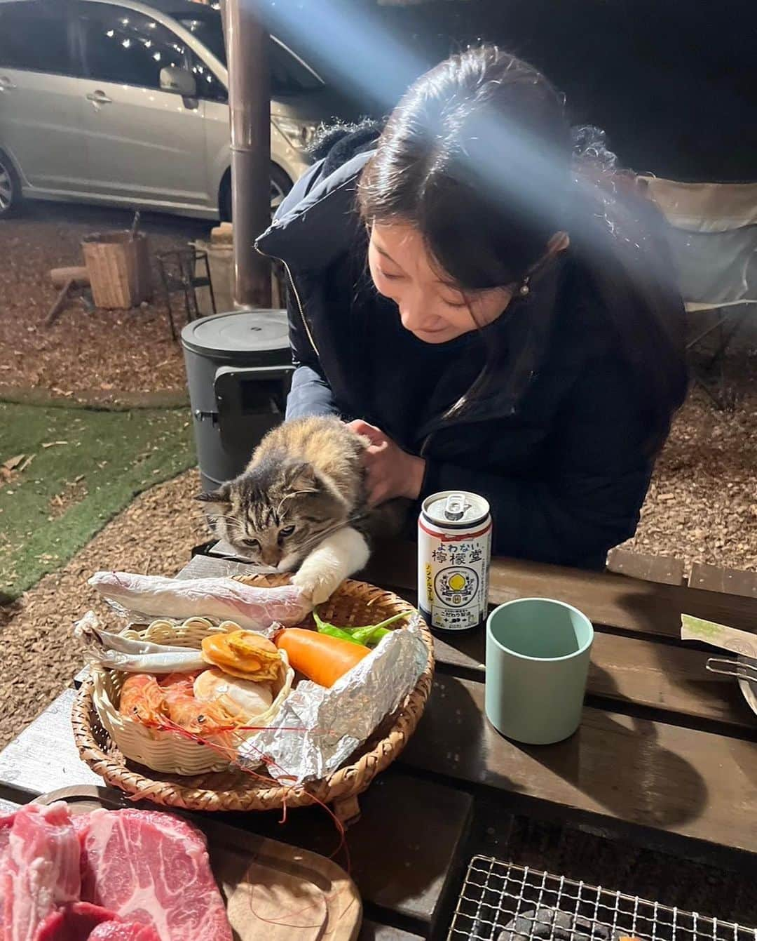 あゆみさんのインスタグラム写真 - (あゆみInstagram)「和心村🏕 . 猫たちが遊んでくれるグランピング テント開けとくと入ってきて遊んだりコタツで温まったり、夜も一緒に寝てくれて人懐っこくてびっくり！ パンこね職人もいます笑  本当にねこ天国だった🐈🤍 BBQも薪割りも朝ごはんも部屋でくつろいでても ずーっとねこといっしょ  ねこ好きの人は絶対行って欲しい！！！  載せてるの猫ばっかだけど 猫10匹、犬2匹、ヤギ2匹、鶏もいるよ☺︎︎  【和心村】 千葉県富津市高溝14  #グランピング関東 #ペットとグランピング #グランピングキャンプ #グランピング #癒しグランピング #ペット可 #ペット可グランピング PR @washinmura_nature_glamping」11月14日 18時30分 - ayumiiii26