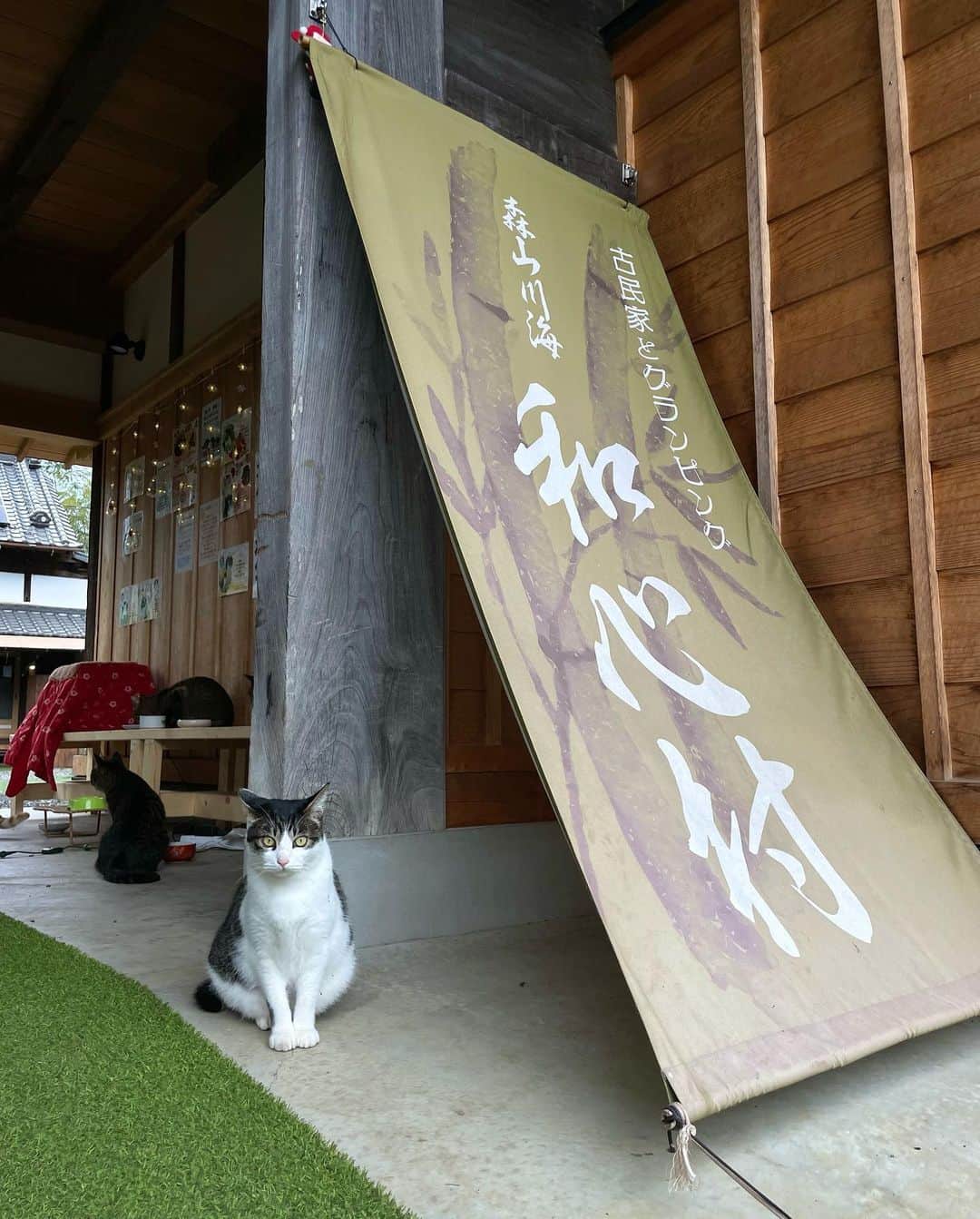 あゆみのインスタグラム